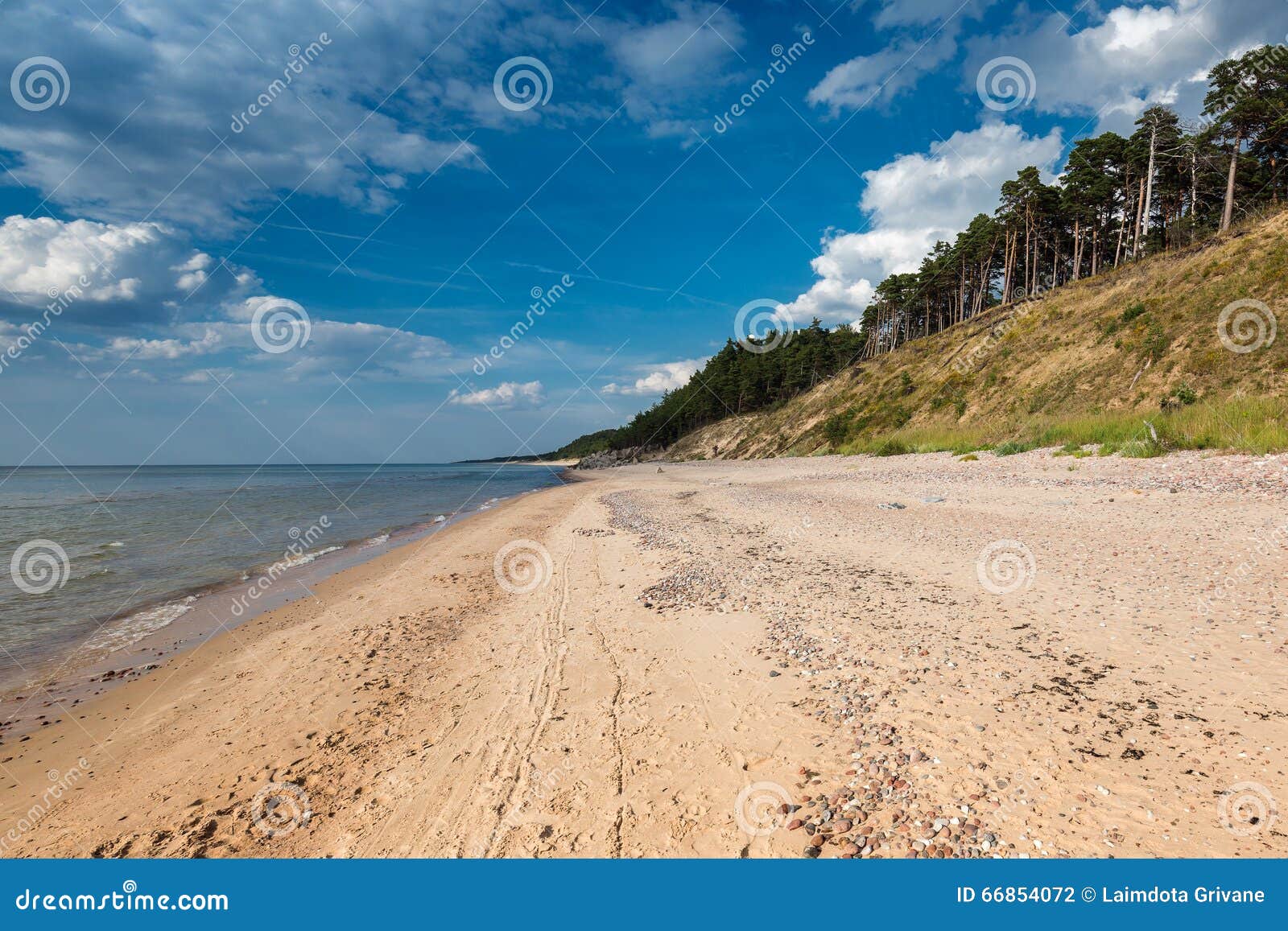 Фото Берега Балтийского Моря Фото Берега Балтийского Моря