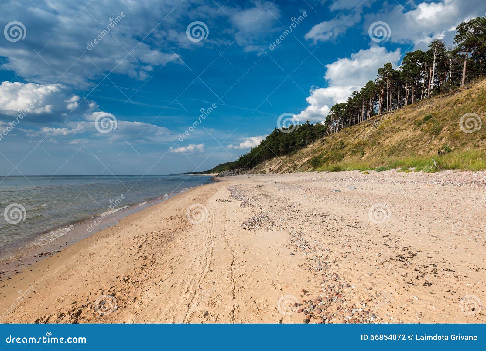 Фото Берега Балтийского Моря