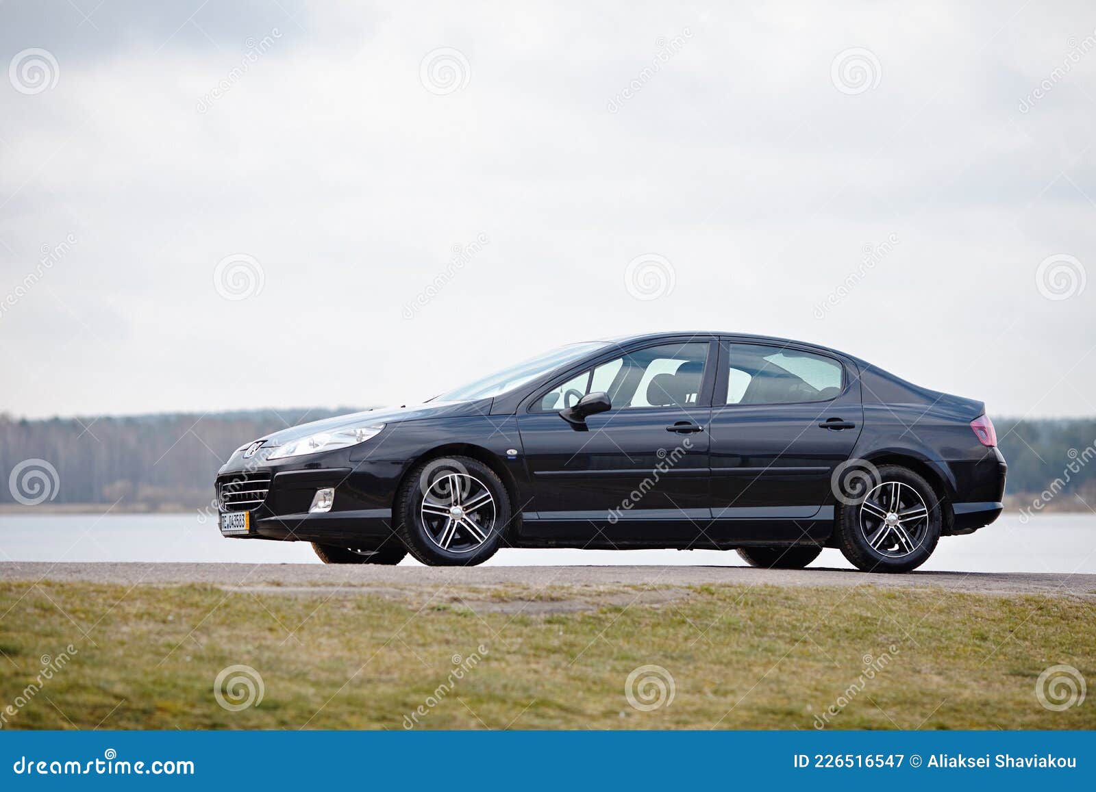   2014  Peugeot 407 20032010  Pre Facelift             -      226516547