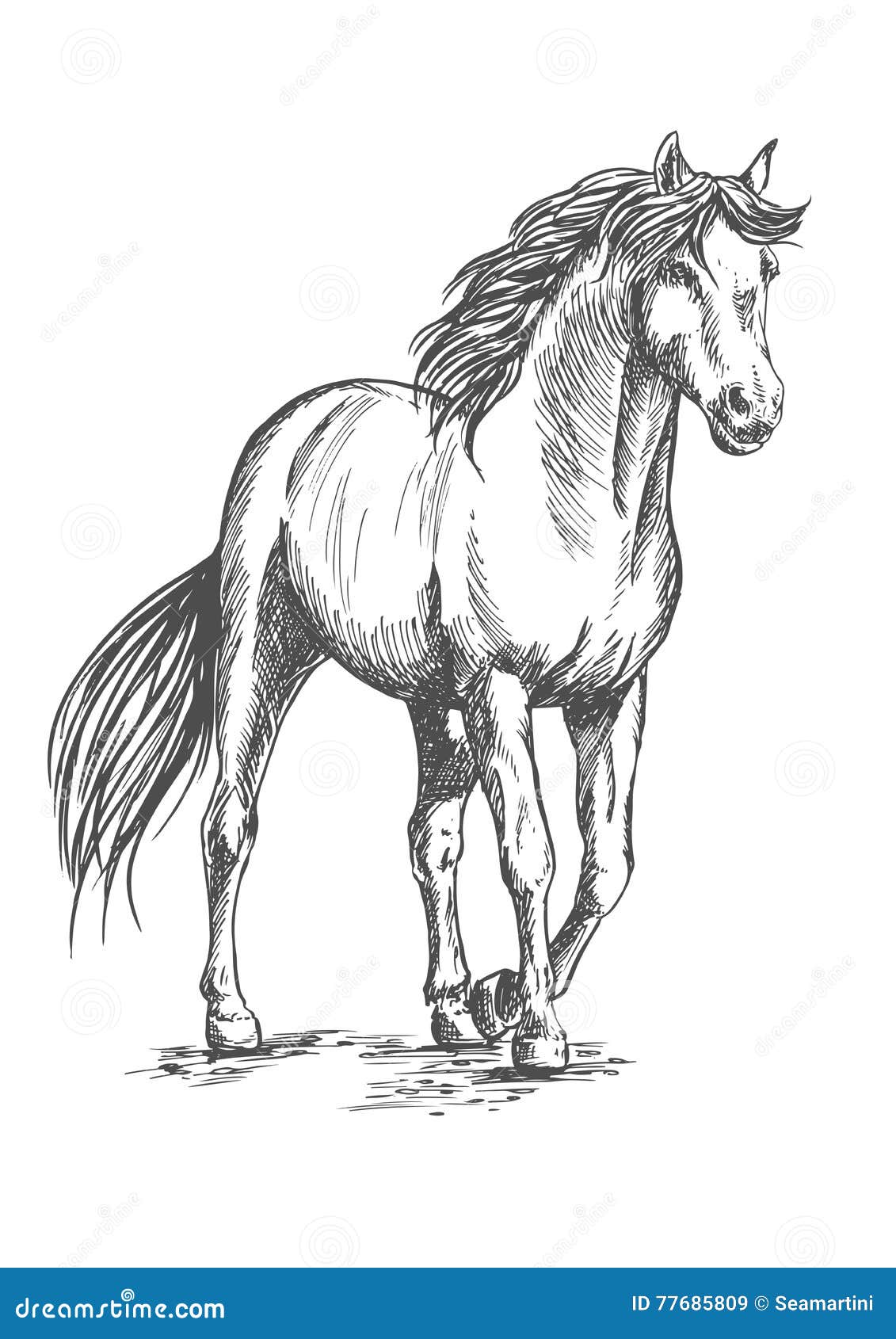 Лошадь набросок. Лошадь портрет рисунок карандашом. Картина маслом лошадь. Донская верховая лошадь. Андалузская порода лошадей.