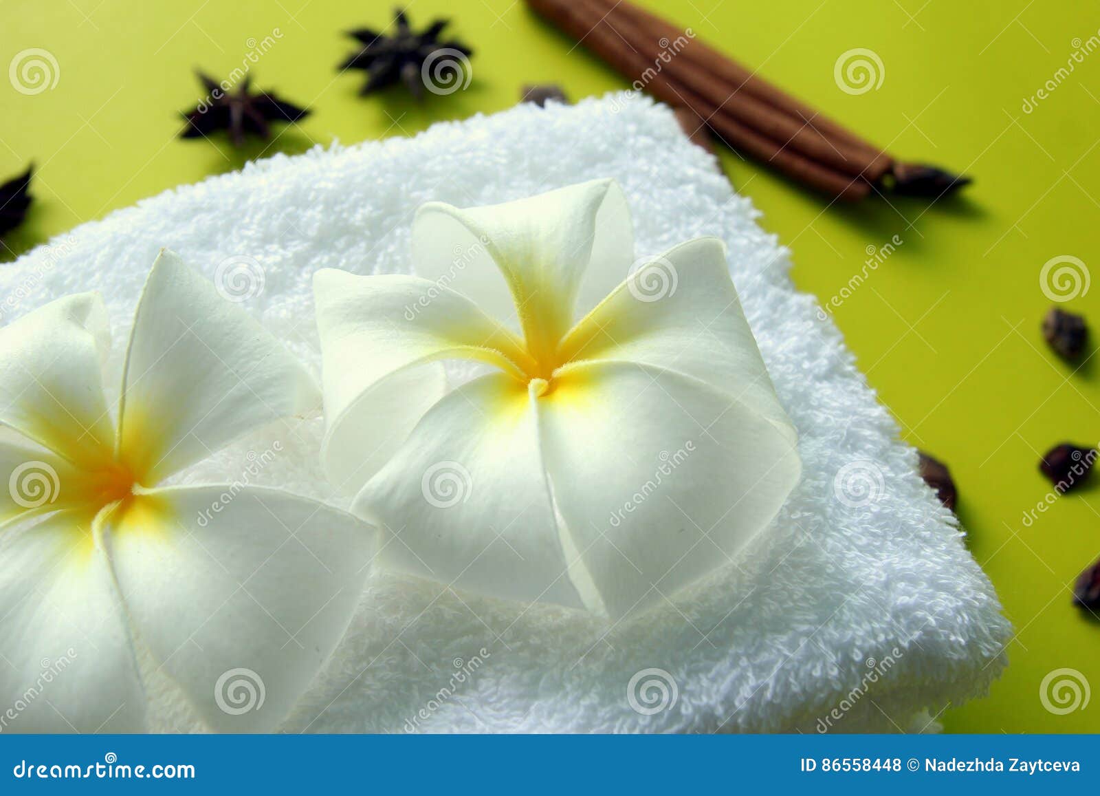 Белое полотенце с цветками Plumeria с звездами ручек анисовки и ...