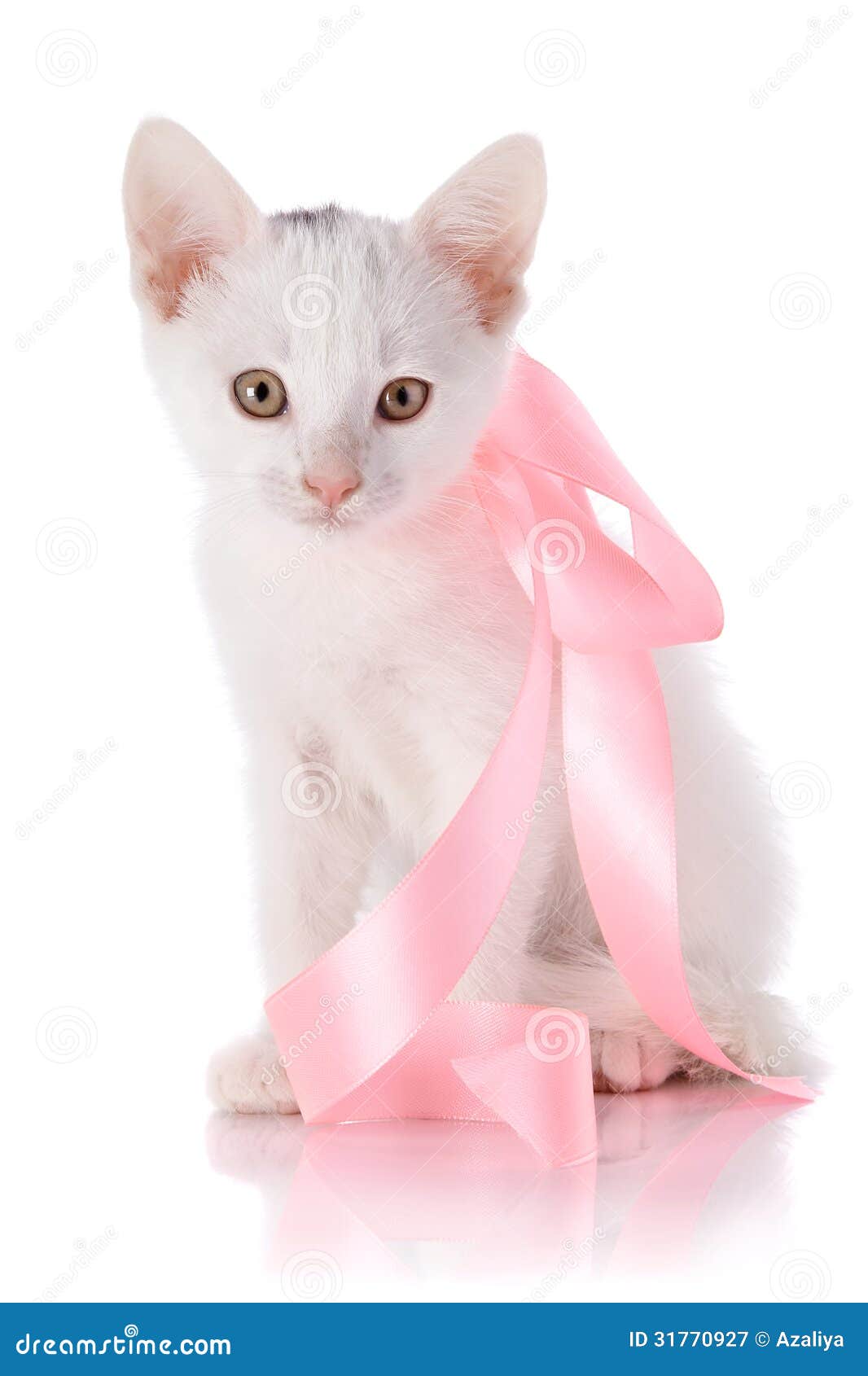 Котенок с бантиком