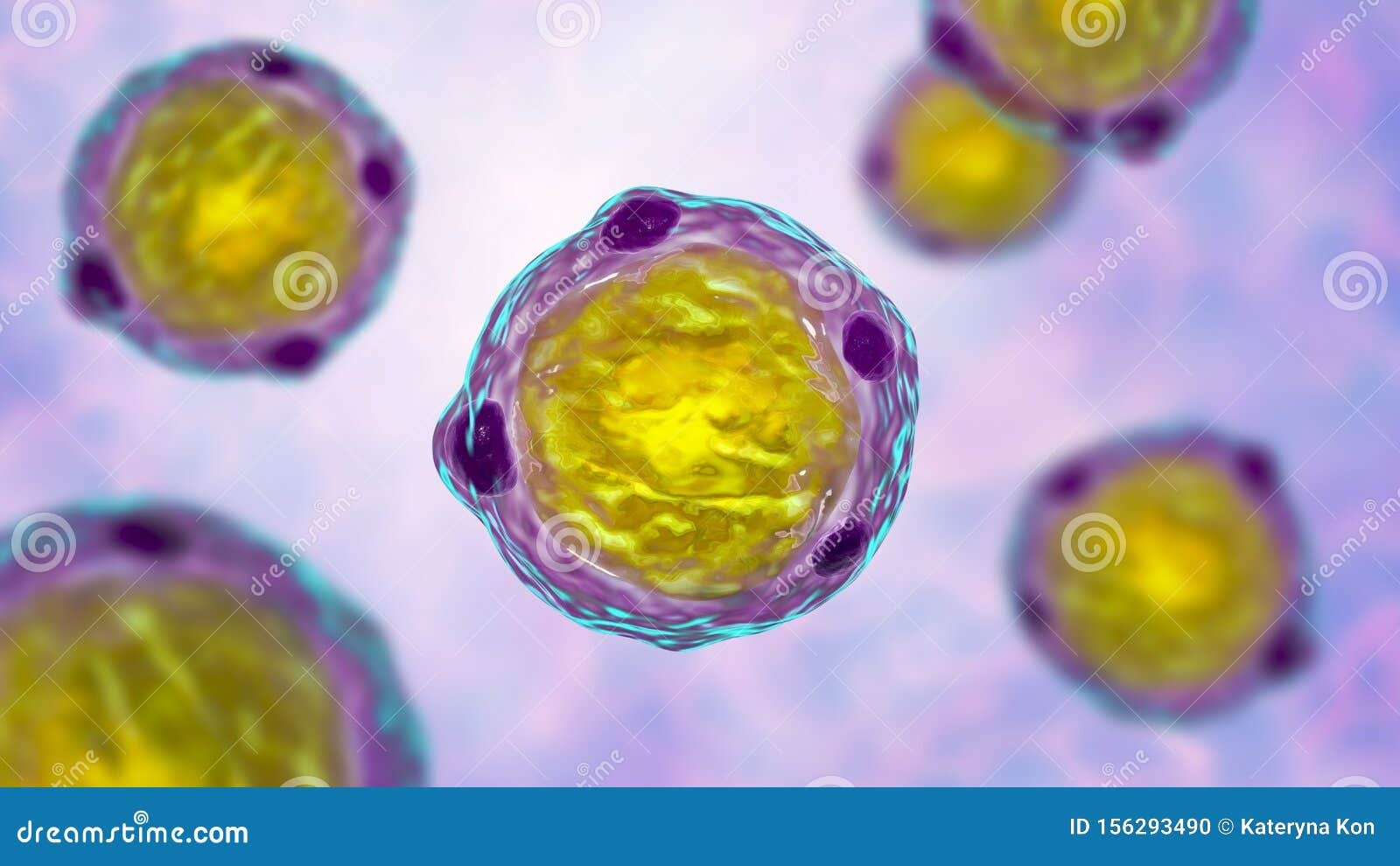 blastocystis hominis parazit