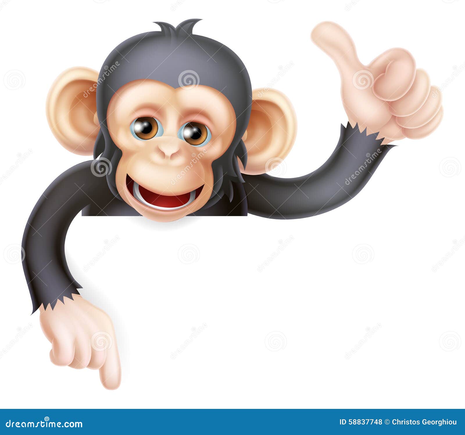 Pablo обезьяна. Пабло обезьяна. Дикая обезьяна. Поющие обезьянки. Monkey singing.