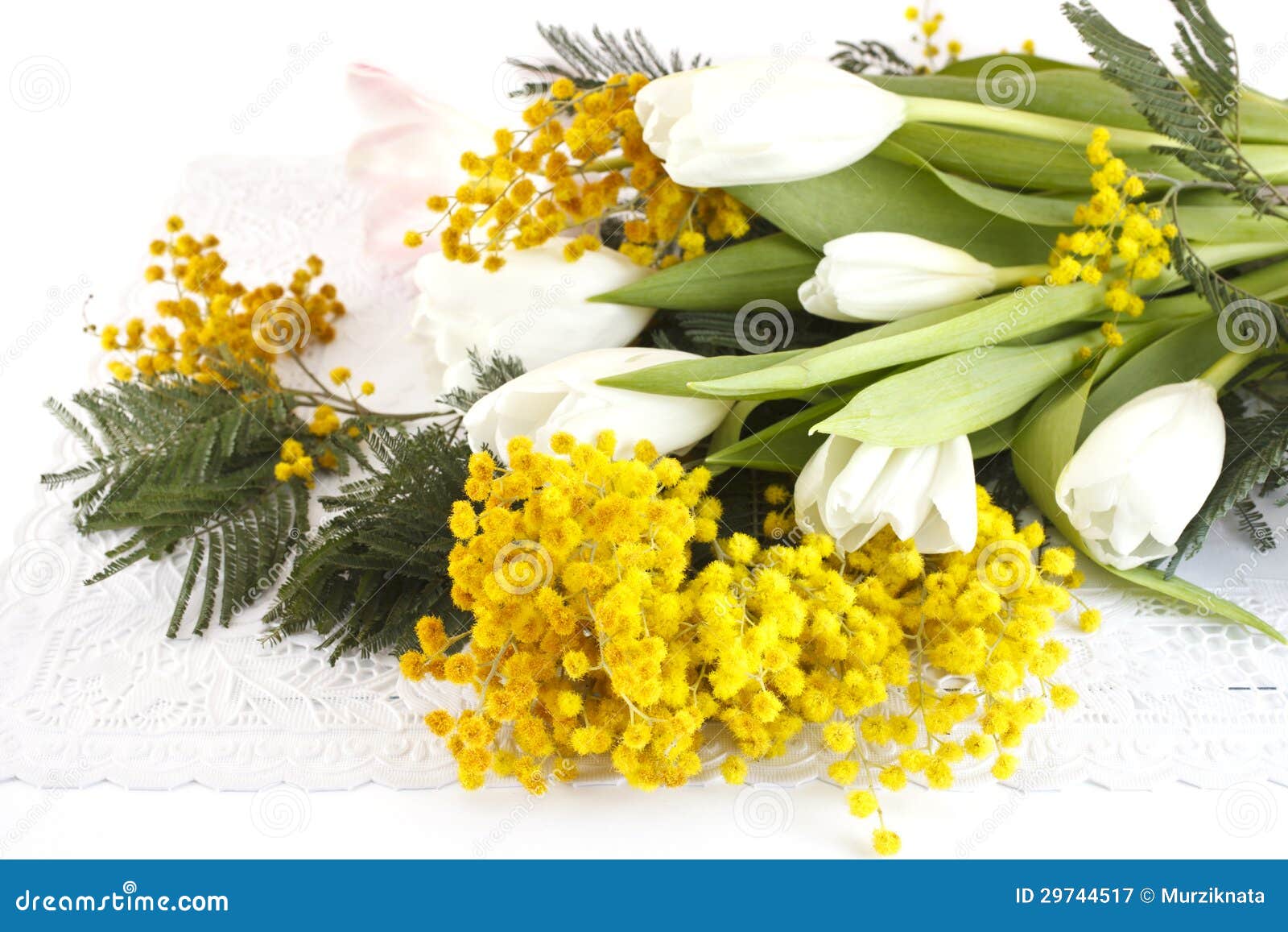 Букет весны от тюльпанов и мимозы на белой предпосылке Стоковое Изображение  - изображение насчитывающей букет, от: 29744517