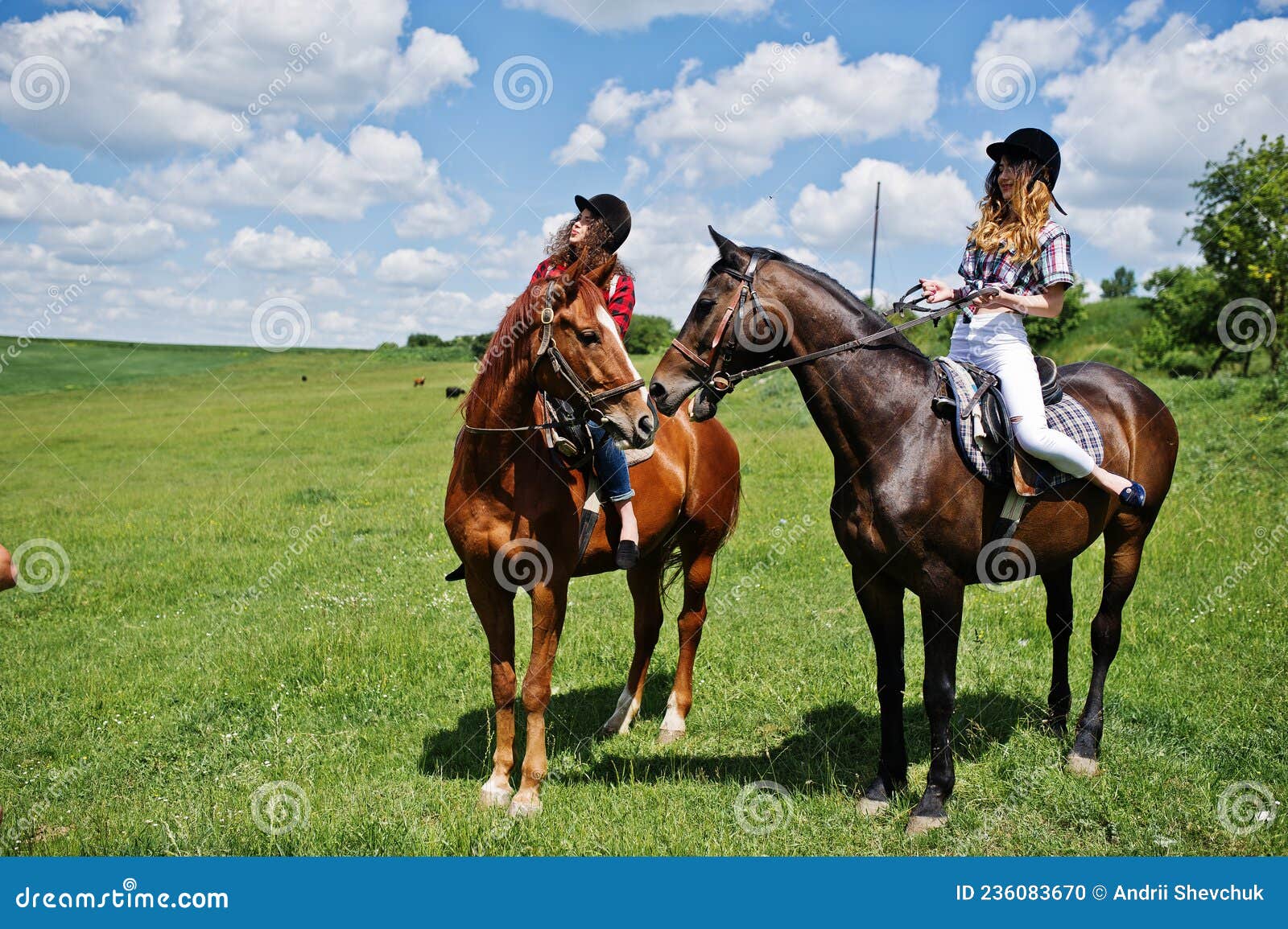 Девушки на лошадях