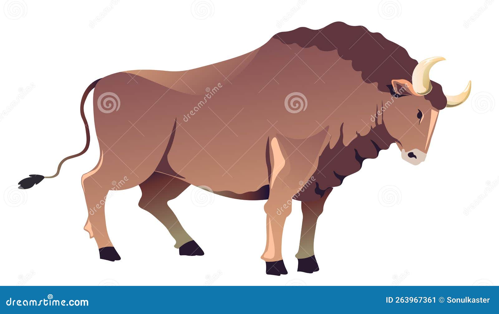 бык с длинными рогами, волом или вектором буйволов Иллюстрация вектора -  иллюстрации насчитывающей характер, ангстрома: 263967361