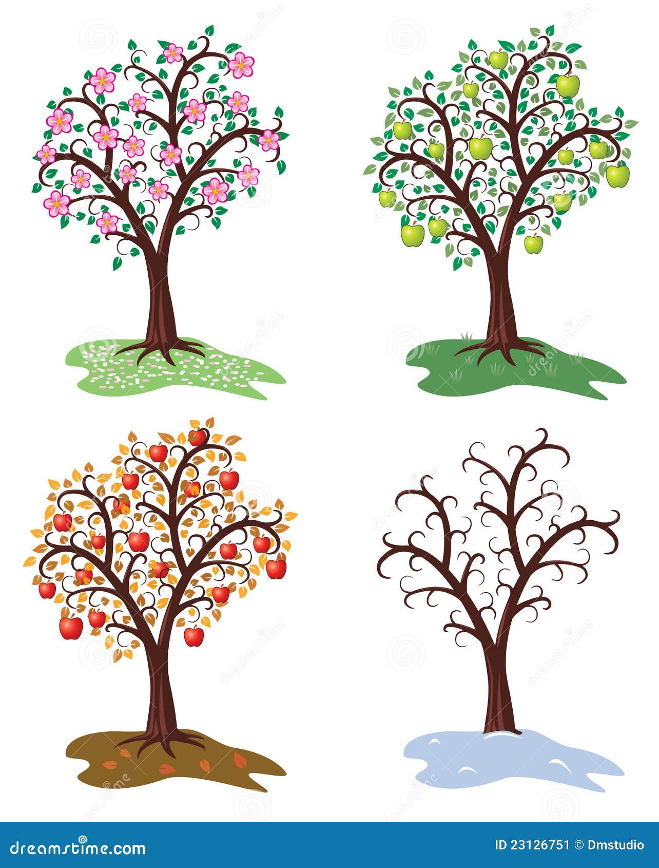 Яблоня в разные времена года. Рисование яблони зимой для детей. Яблоня в цвету дерево для распечатывания. Весеннее дерево яблоня для детей.