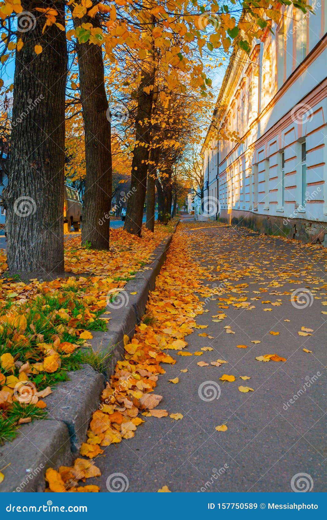 Осень Сеть Магазинов Великий Новгород
