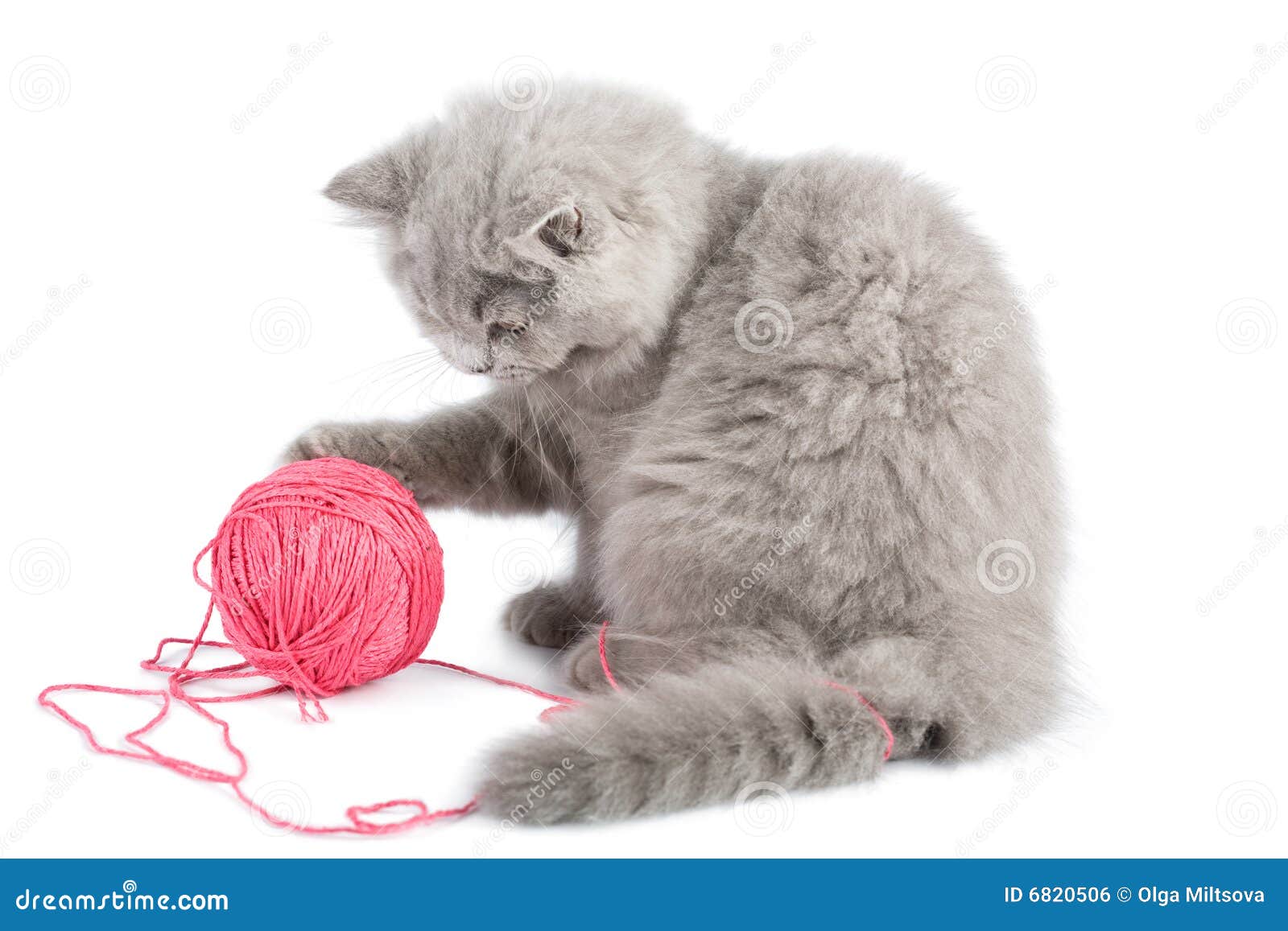 Котенок играет с клубком
