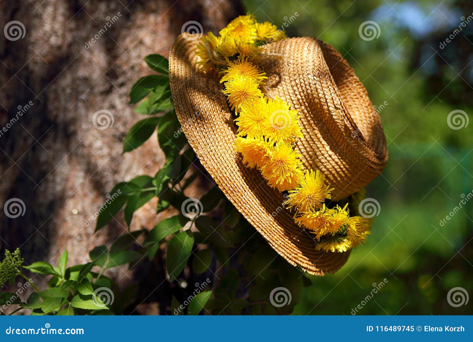 В большой соломенной шляпе расписанной чудесными цветами. Головной убор из одуванчиков. Одуванчики венок. Фотосессия в соломенной шляпе в одуванчиках. Соломенная шляпа.