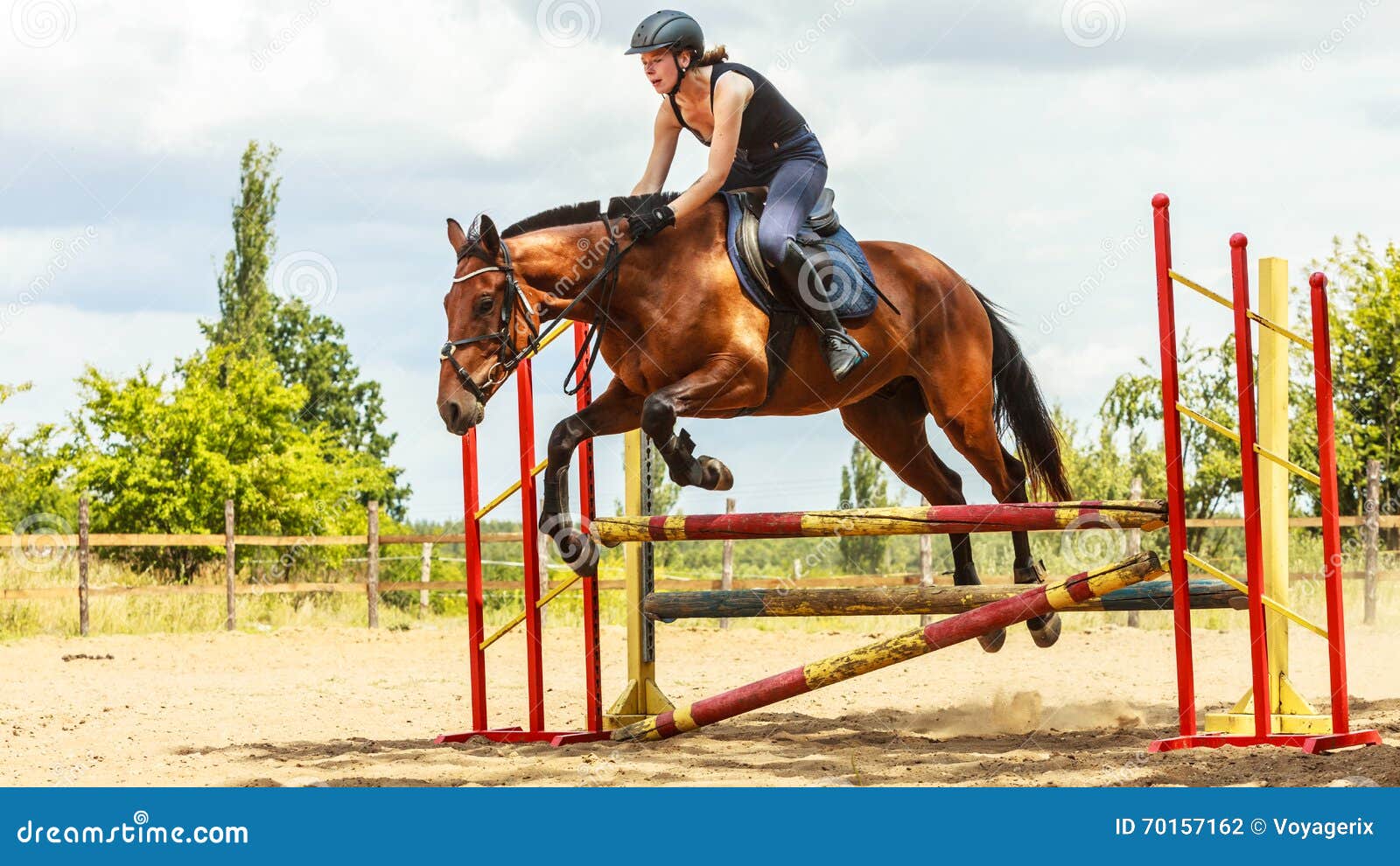 кавалетти выездка. школа верховой езды в мытищах. крытый конный манеж. боевое поле конный спорт. кавалетти конный спорт.