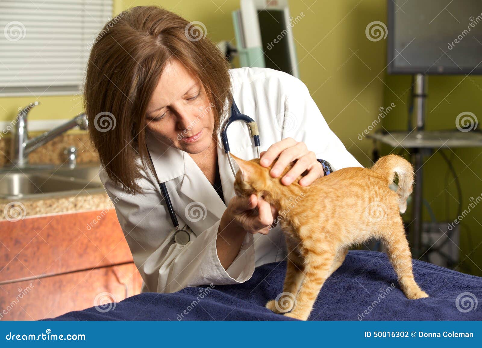 Припадок у кошки. Котик у ветеринара. Кот врач.