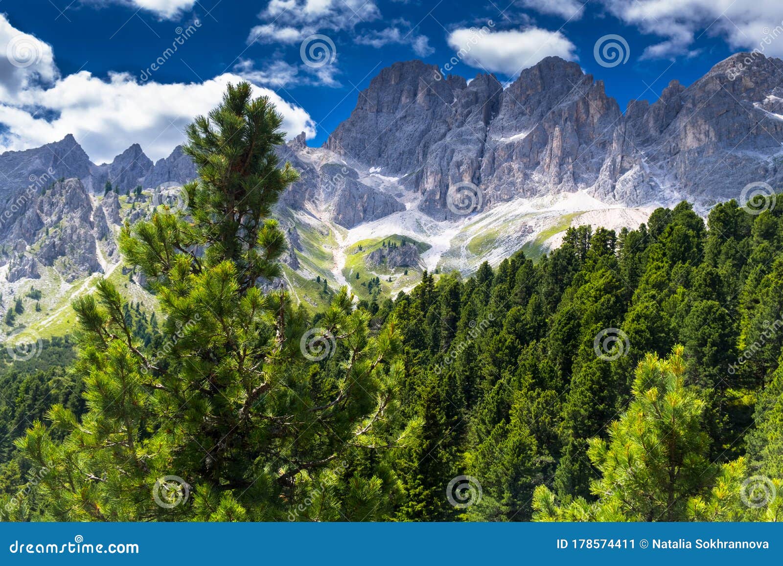 Вид леса летом на фоне гор в альпах. Итальянские доломитовые альпы. Юг  Tyrol Италия. Европа Стоковое Изображение - изображение насчитывающей  природа, небо: 178574411