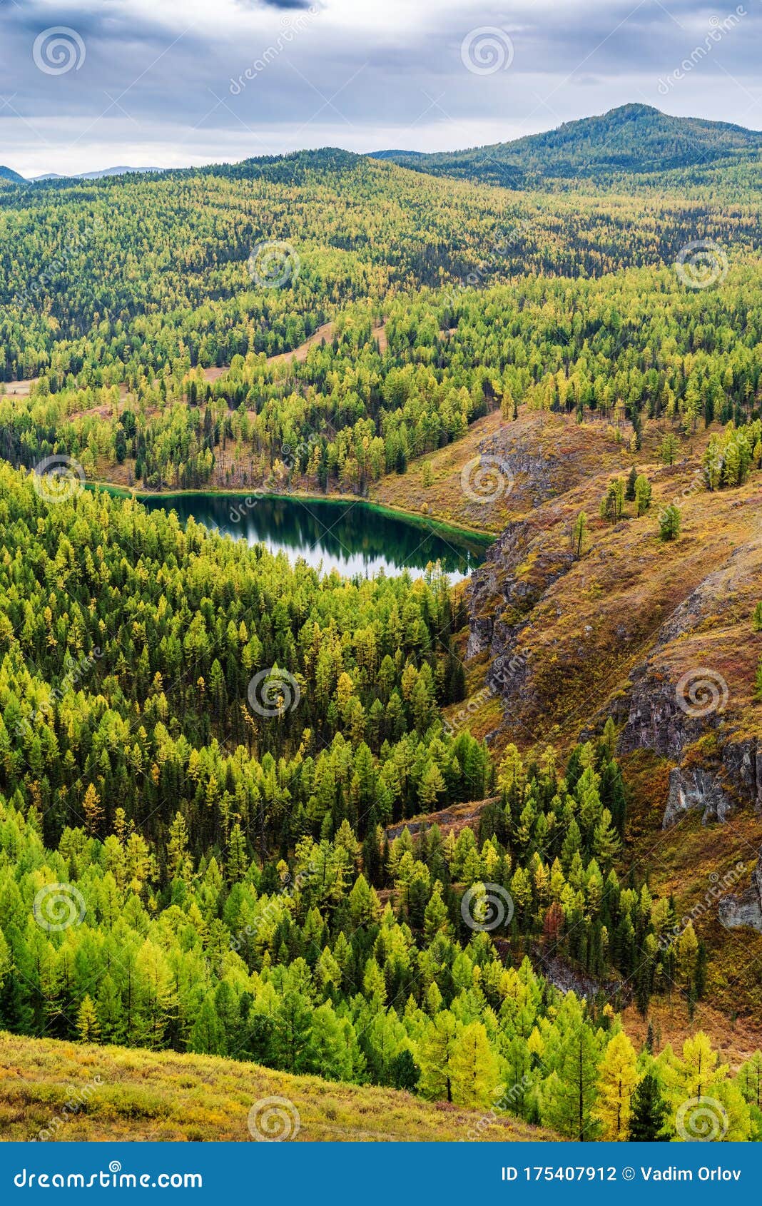 Осенняя Тайга Фото Осенняя Тайга Фото