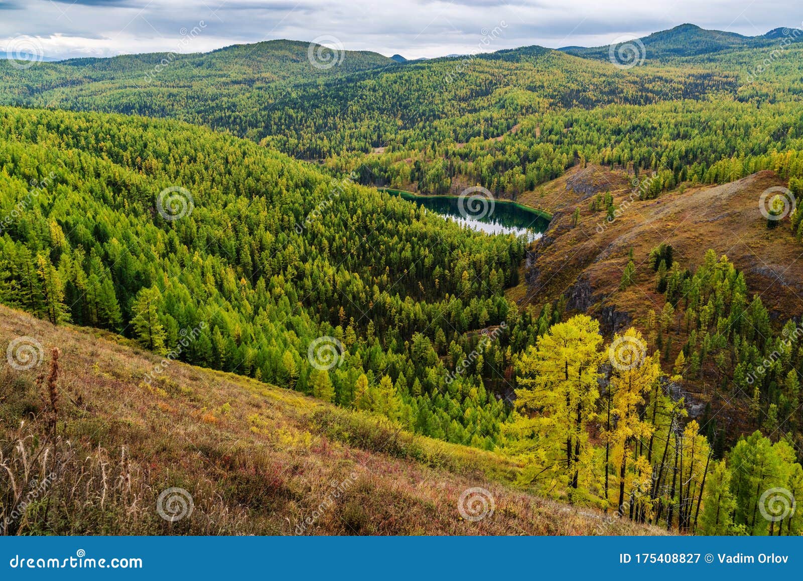 Осенняя Тайга Фото