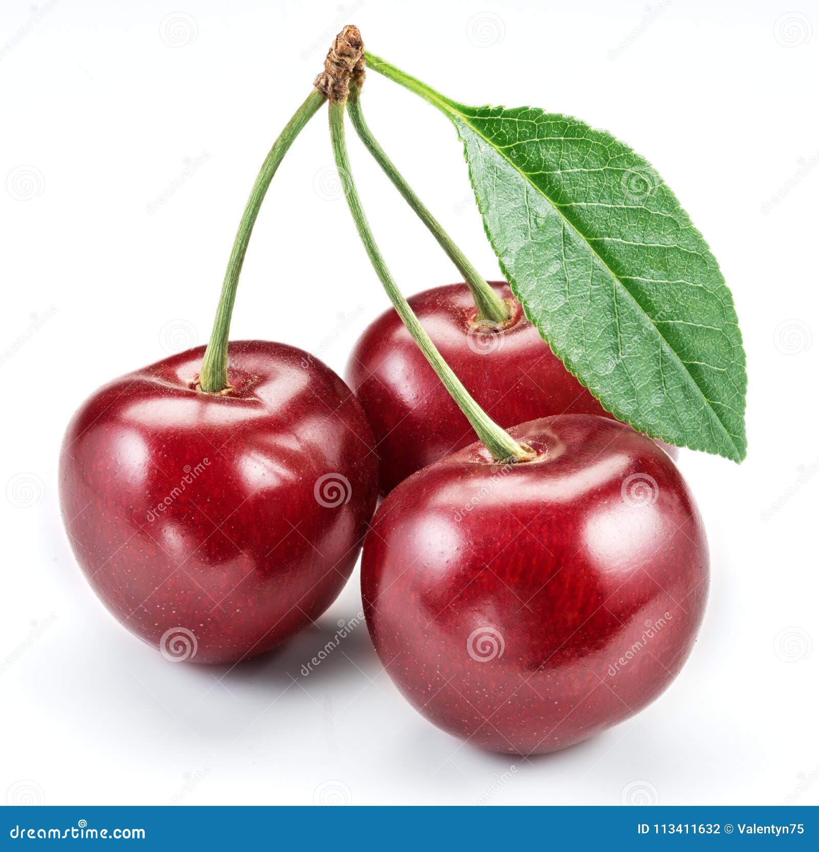Черешня на белом фоне