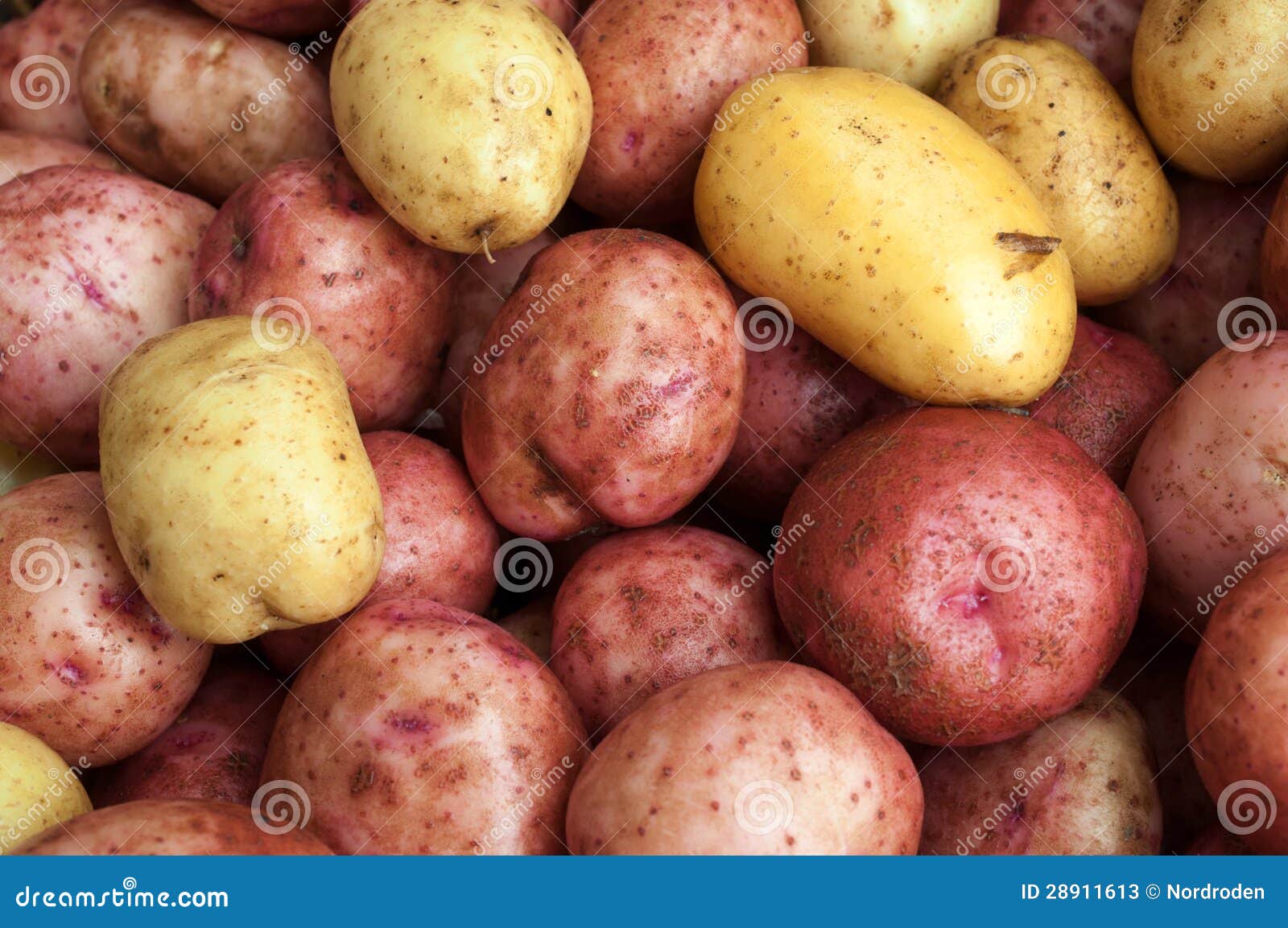 Can you steam raw potatoes фото 118