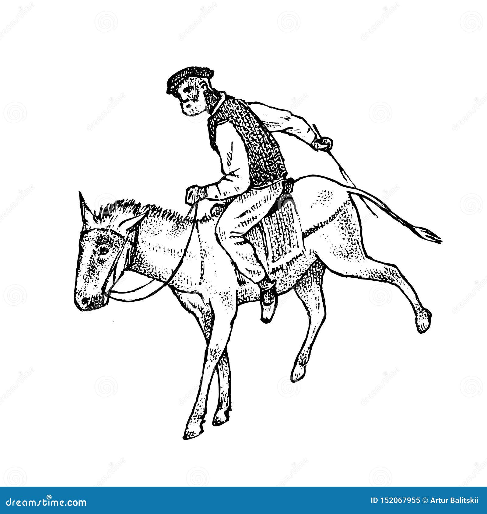Наездник кроссворд. Греки на конях. Лошадь и человек в древности. Лошади греки. Всадник карандашом.