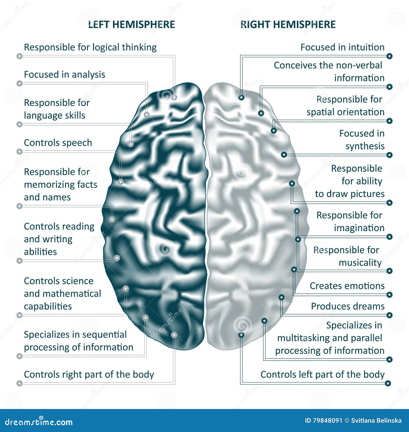 Болят полушария мозга. Левое и правое полушарие. Левое и правое полушарие мозга. Люди с правым полушарием мозга. Головной мозг левое и правое полушарие.
