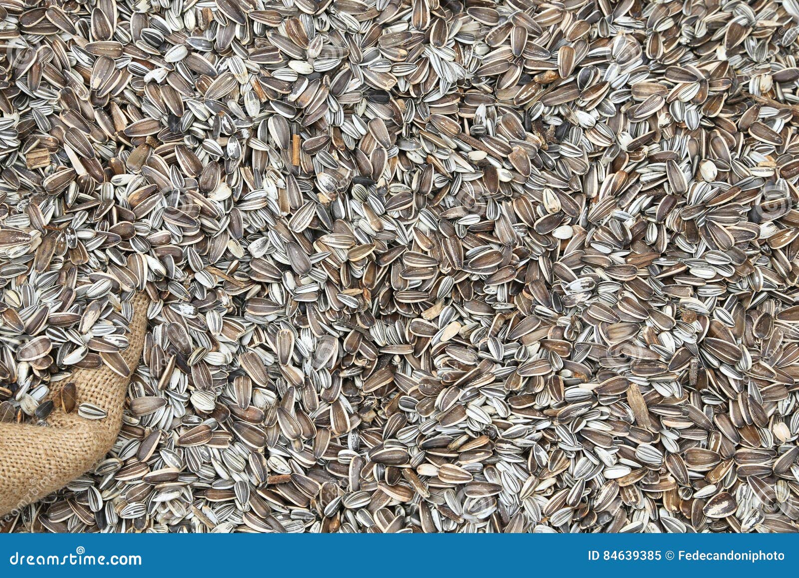 подсушенные семечки. семечки тыквенные. семечки подсушенные в пакете. закоптить тыквенные семечки. сушка для семечки.