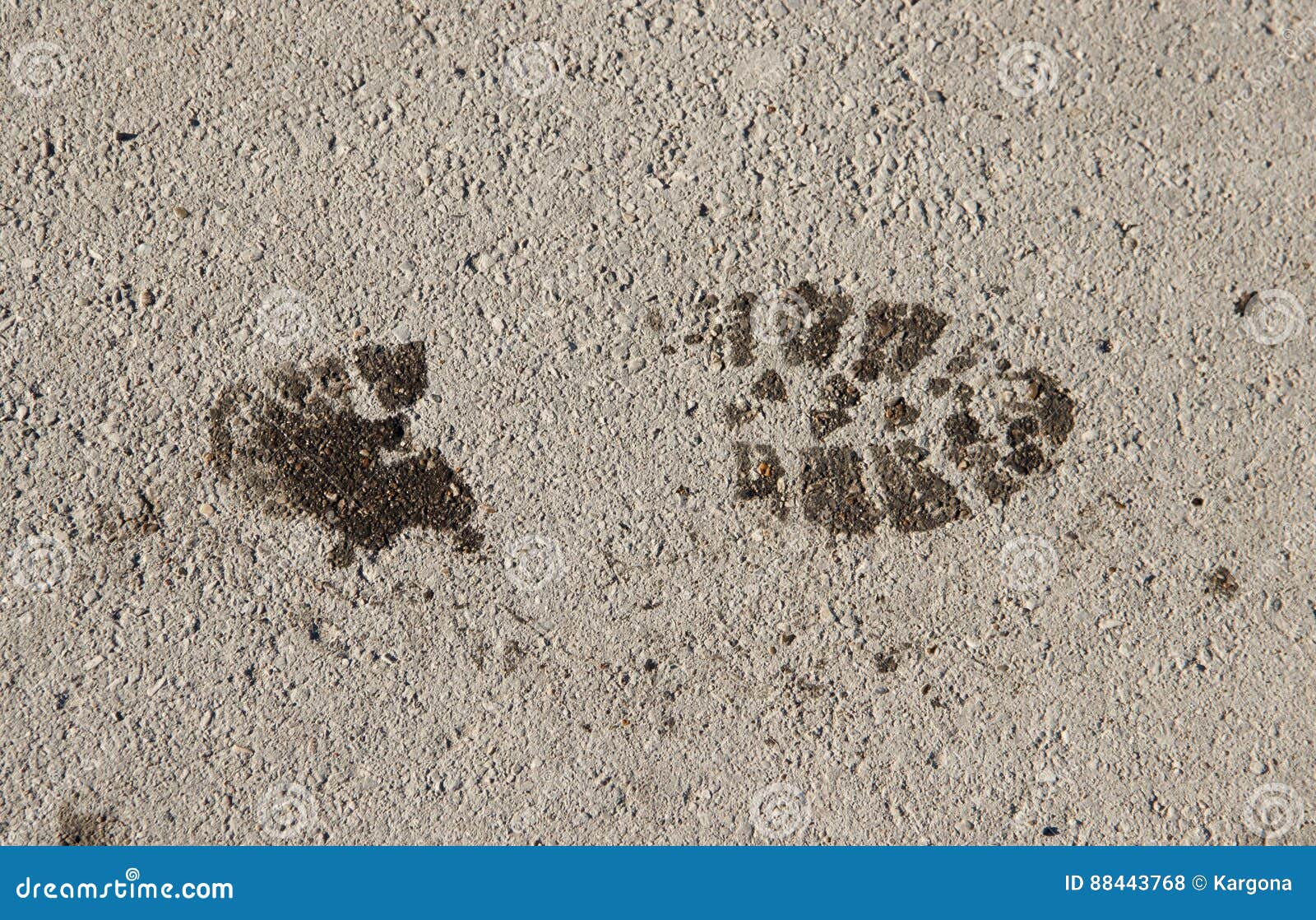 Не было видно следов. Отпечатки мокрых ног на полу клипарт фото. К чему снятся следы на полу от обуви. Фото мокрых следов сверху.