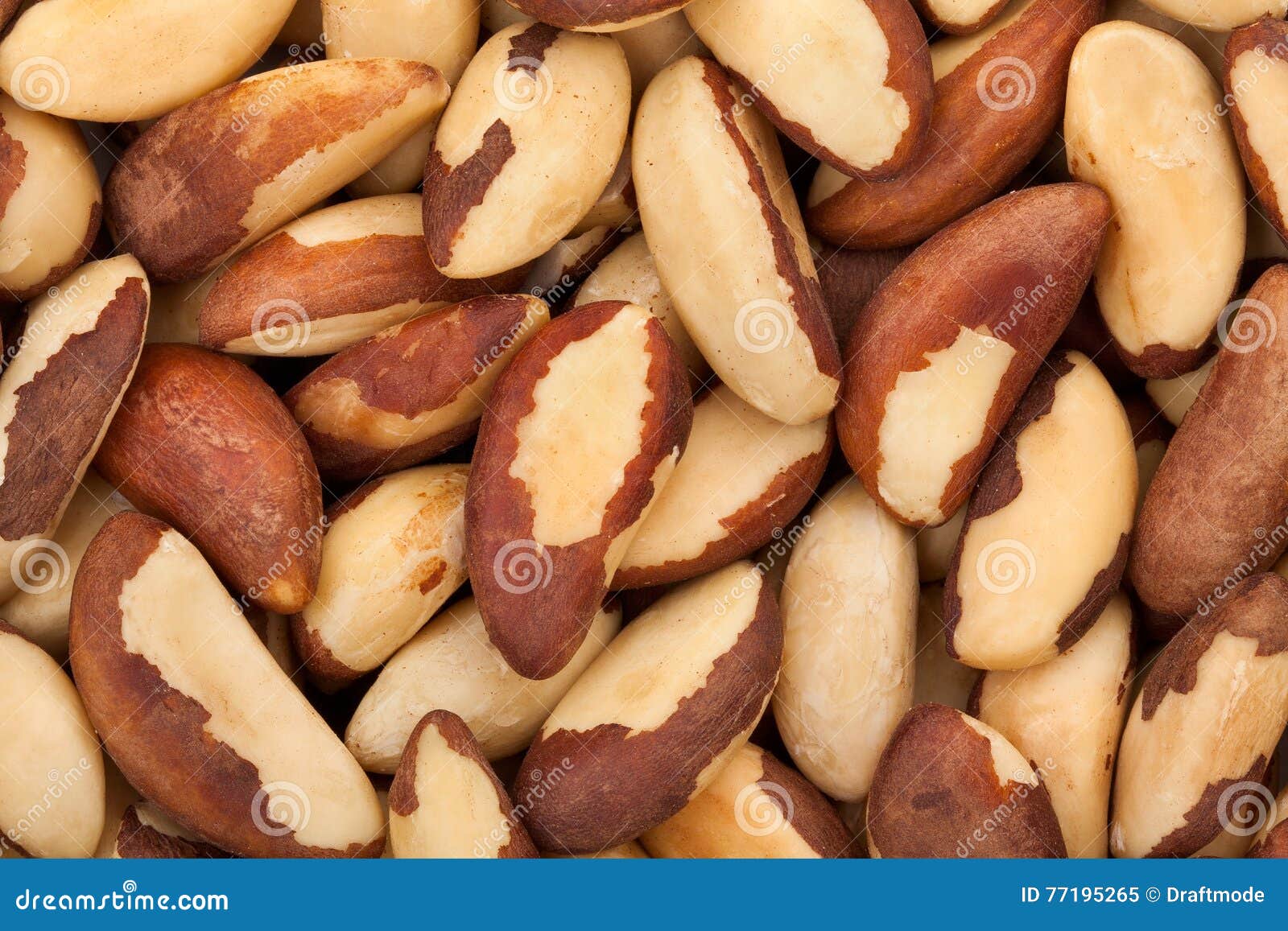 Permaculture - The Fruit Nut
