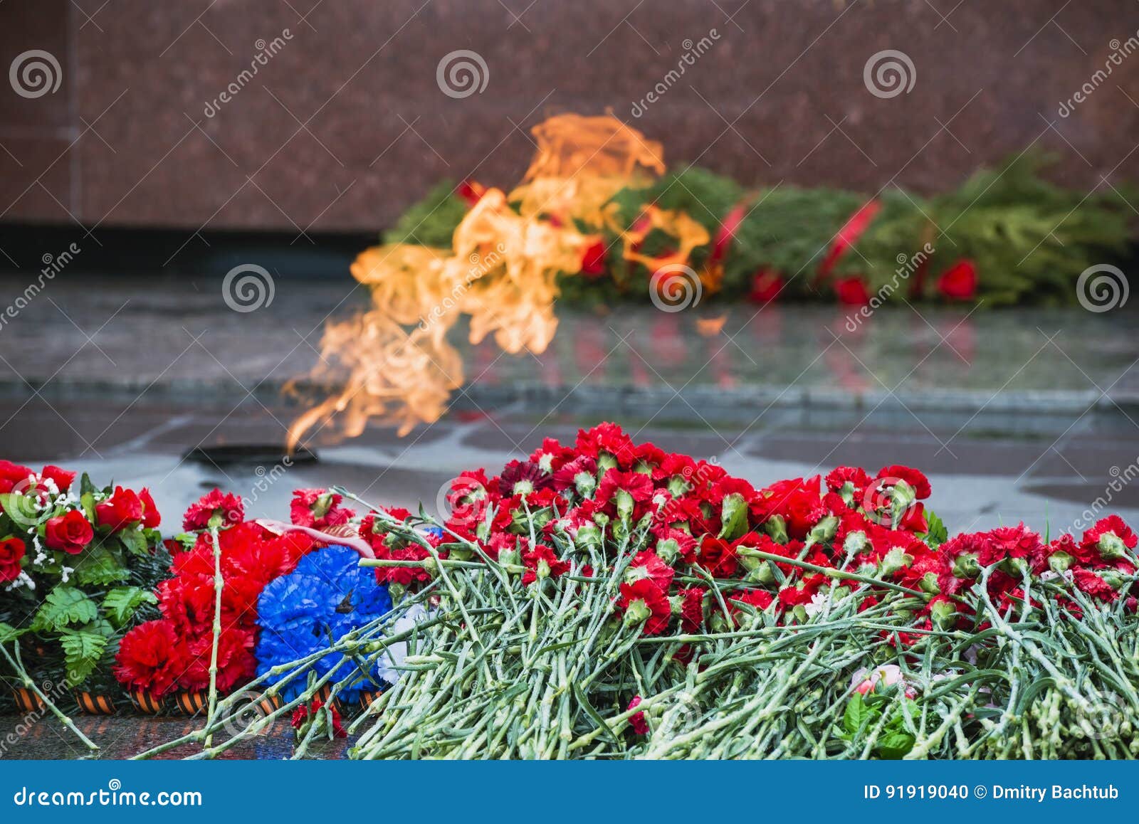 Вечный огонь и гвоздики
