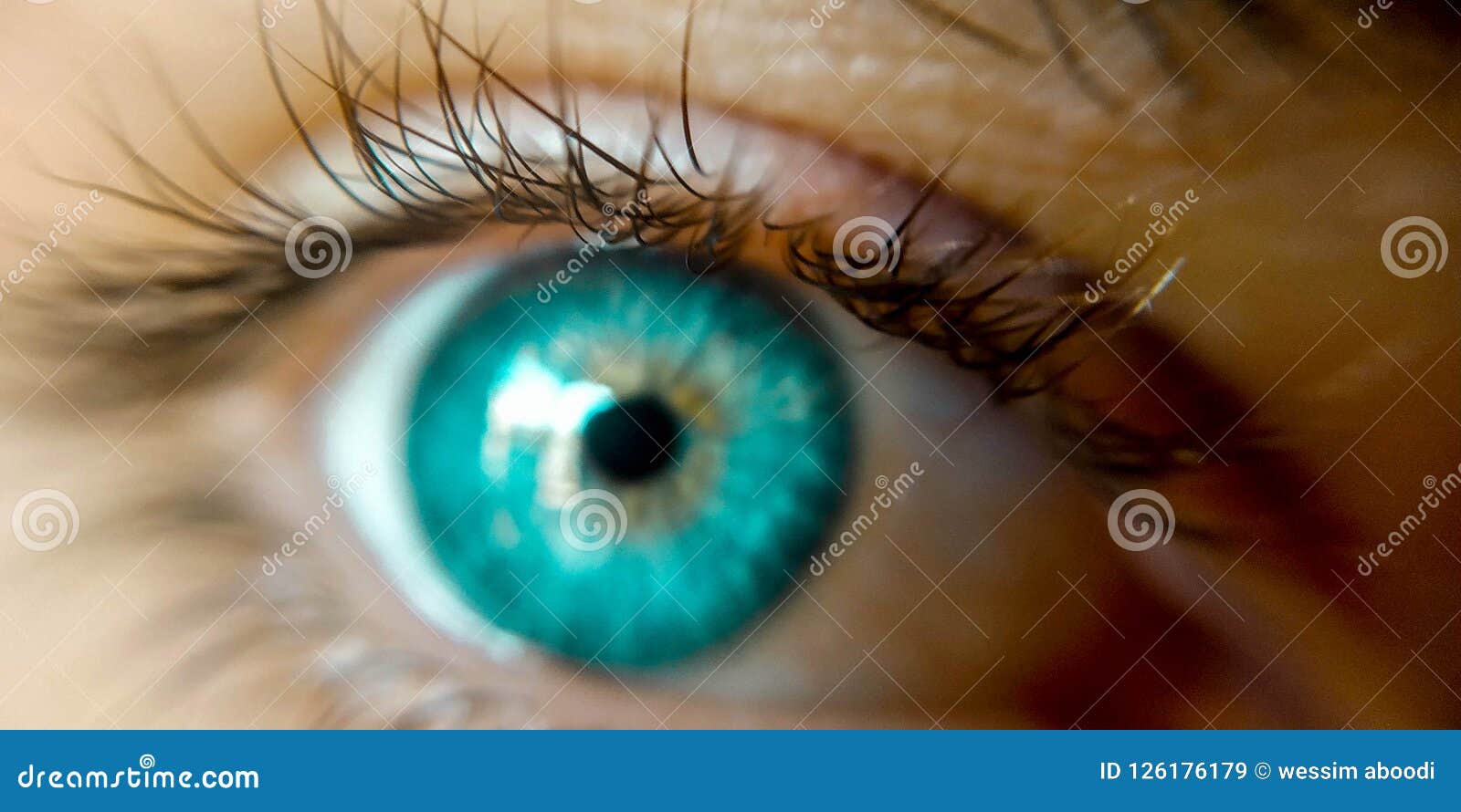 Сине Зеленые Глаза Фото