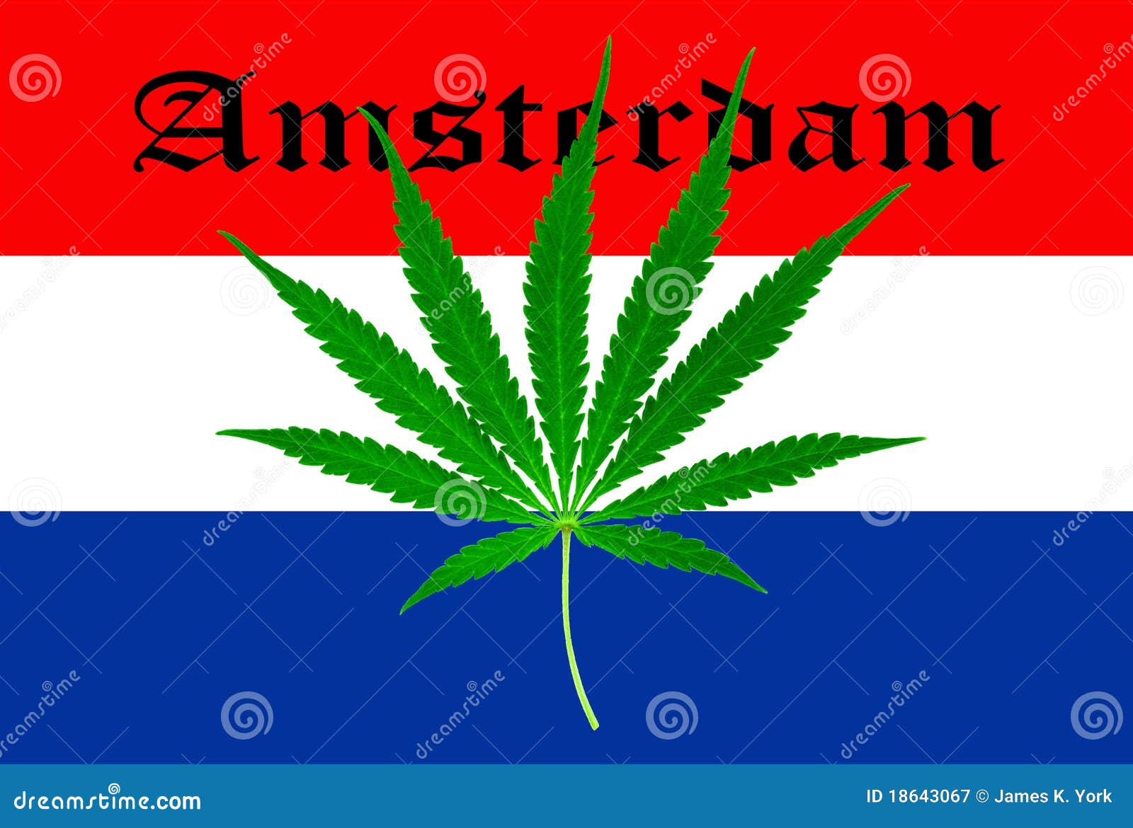 голандская марихуана