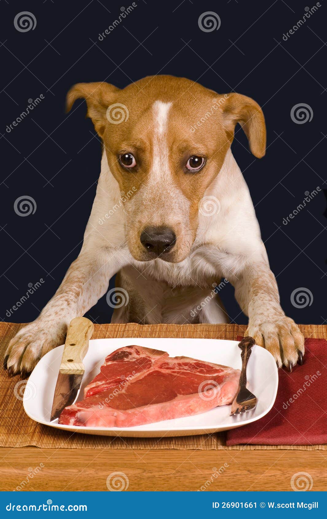 Принесите мясо тут голодные собаки как называется