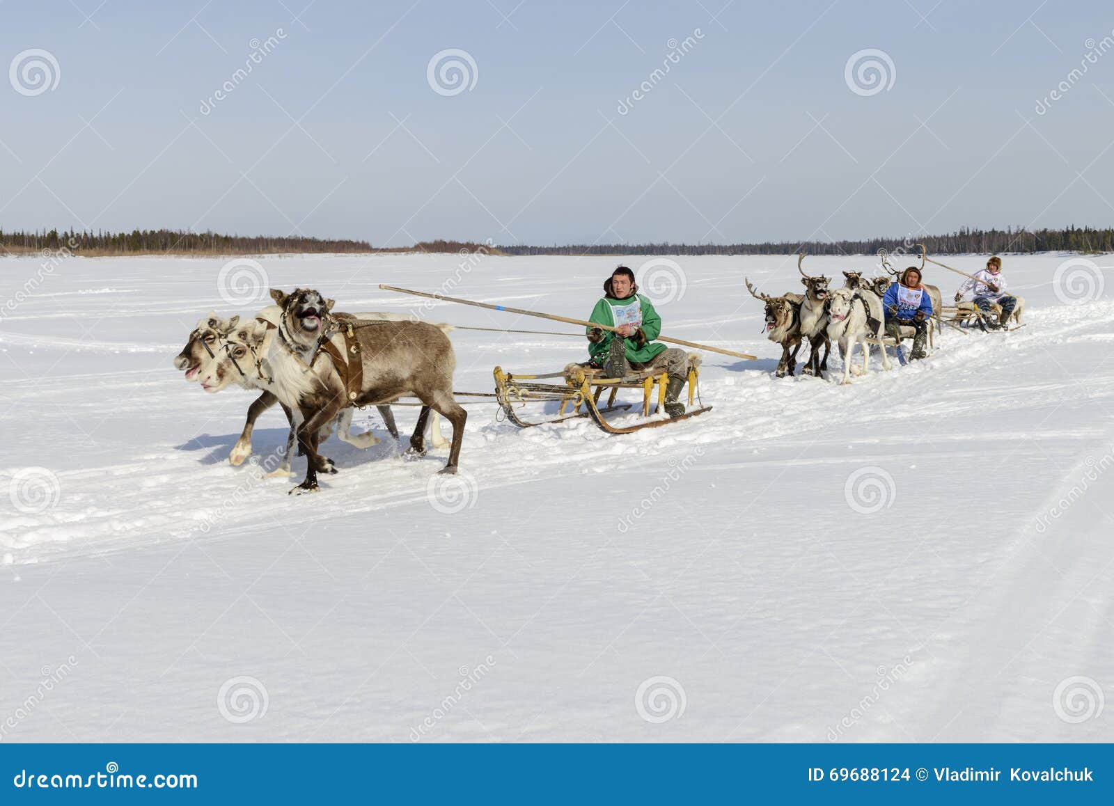 сани народов севера. скотоводство тибета. пастухи на нартах что значит. сани народов севера. нарты коряков.
