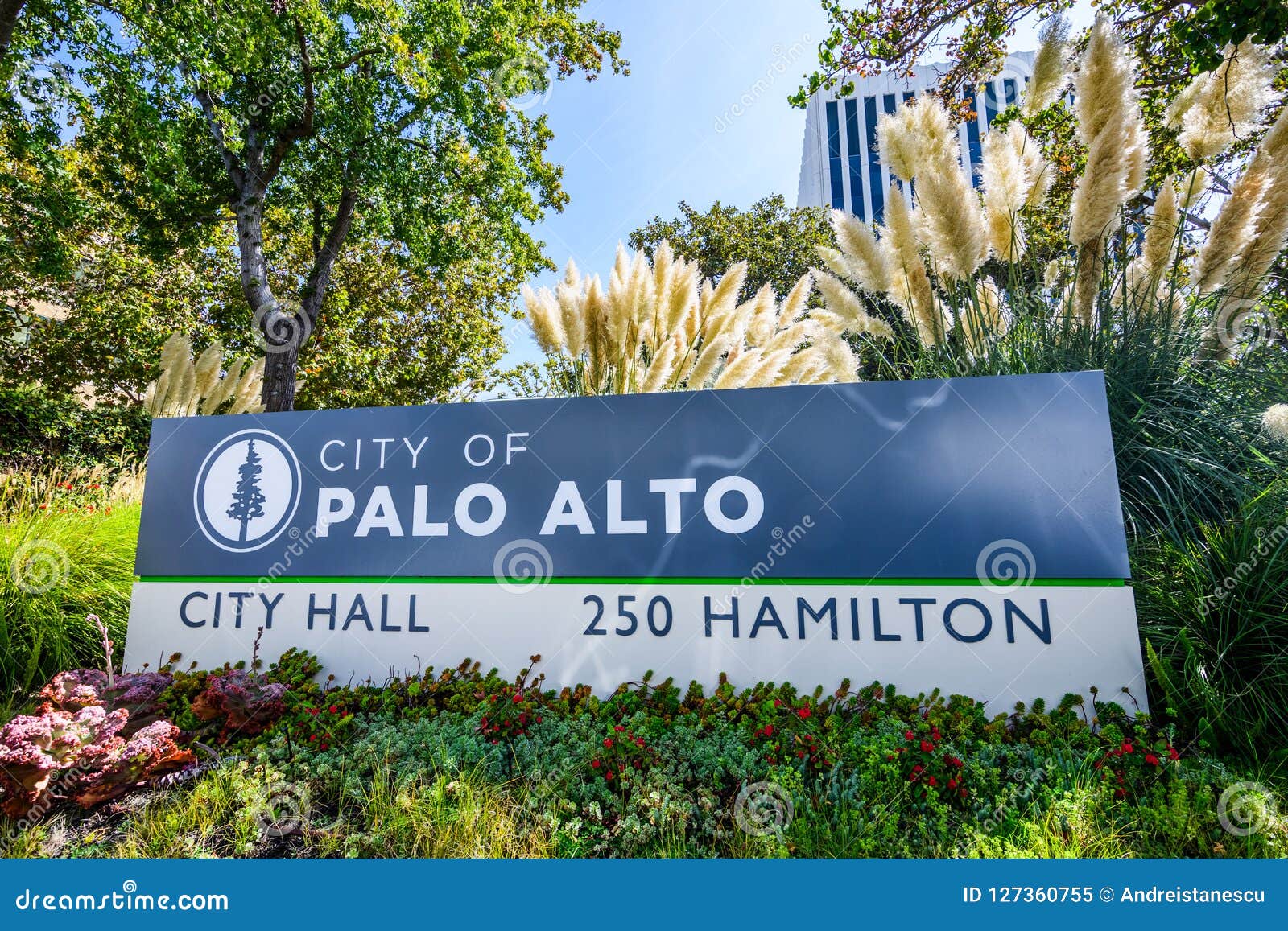 Табличка пала. Palo Alto City. Пало-Альто город в США. Города вокруг Пало Альто. City logo Palo Alto California.