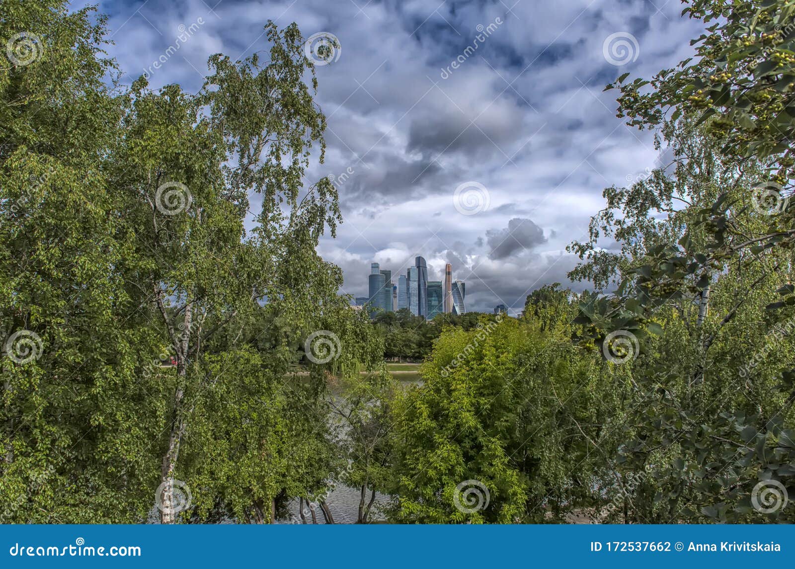 Деревья Москвы Листья Фото