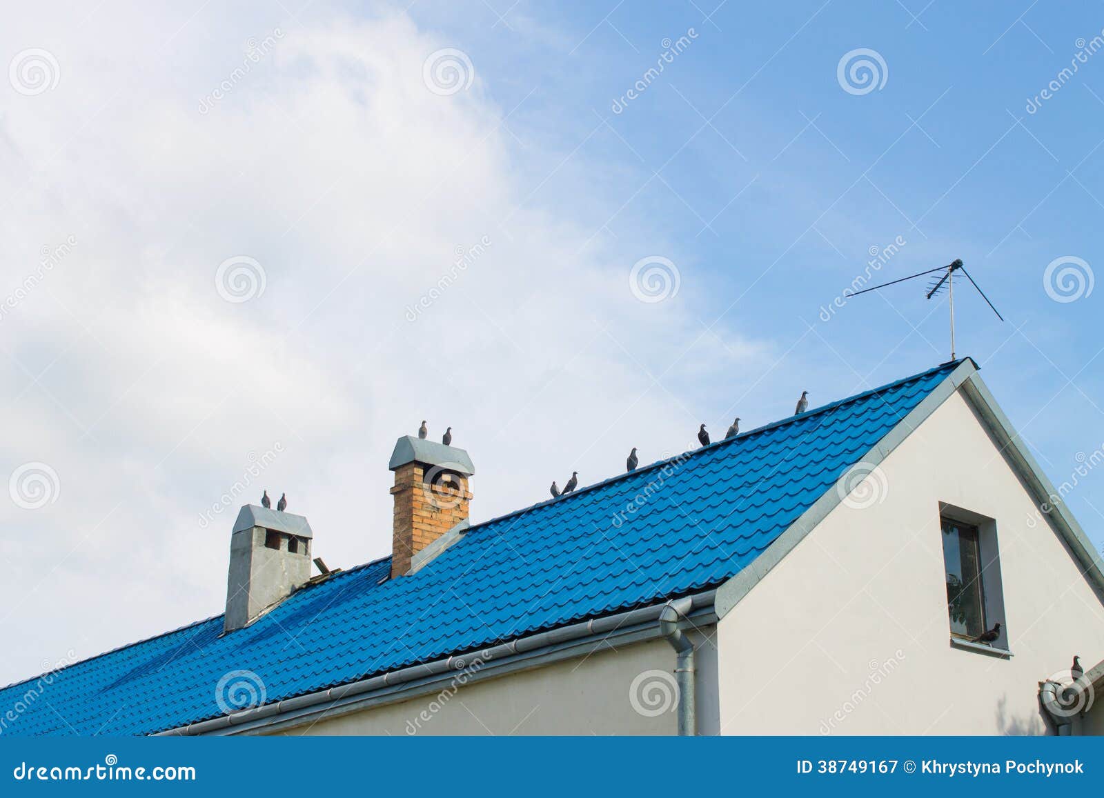 Дом под крышей голубой орлов