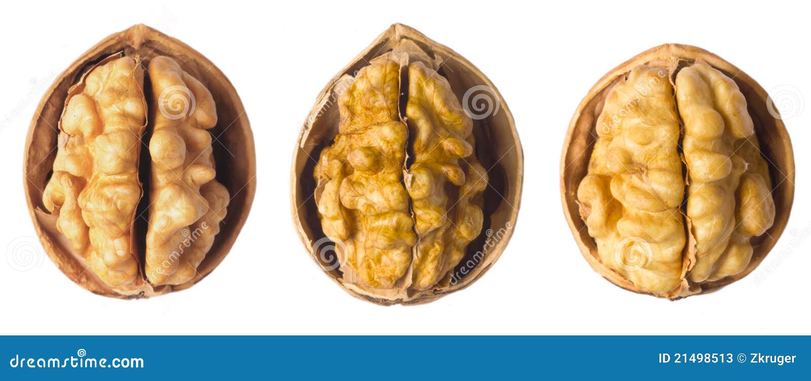 Грецкие орехи похожи на мозги. Грецкий орех и мозг. Орехи для мозга. Грецкий орех похож на мозг. Мозг с орешек.