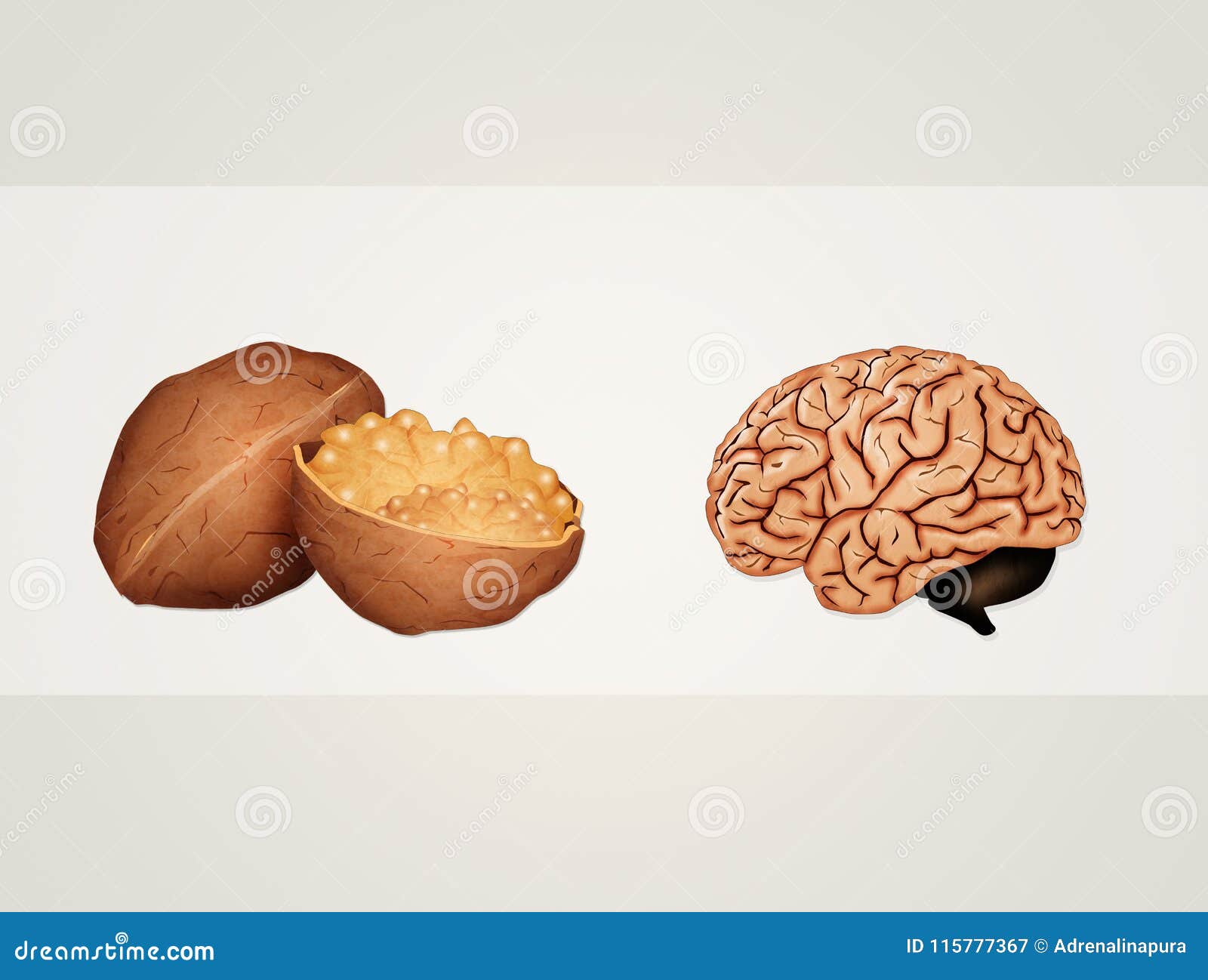 Грецкие орехи похожи на мозги. Орех похожий на мозг. Грецкий орех и мозг. Орешек вместо мозга. Грецкий орех похож на мозг.