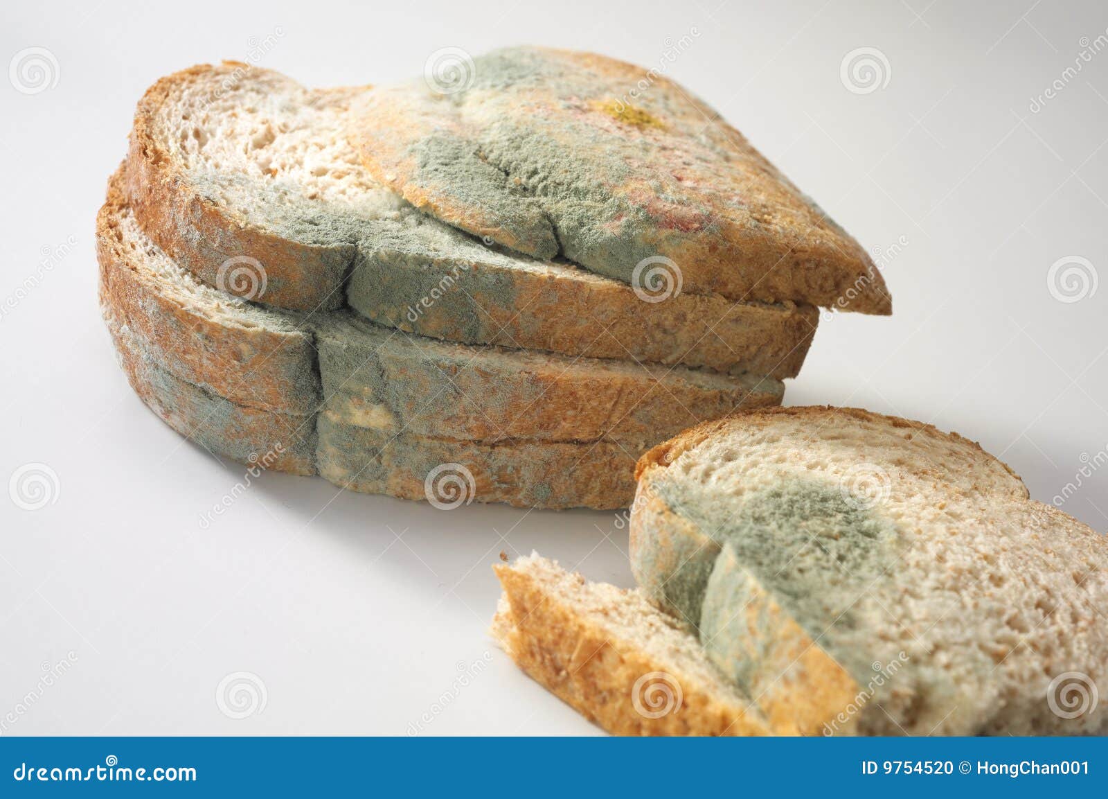 Гриб плесень на хлебе