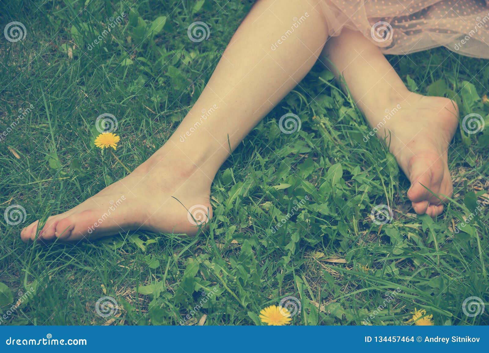 Картинка Ноги Девушки Фото