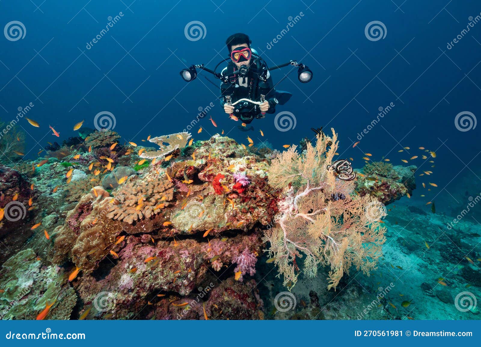 дайвер с камерой, погружающейся над коралловым рифом в Таиланде Стоковое Изображение - изображение насчитывающей лето, океан: 270561981