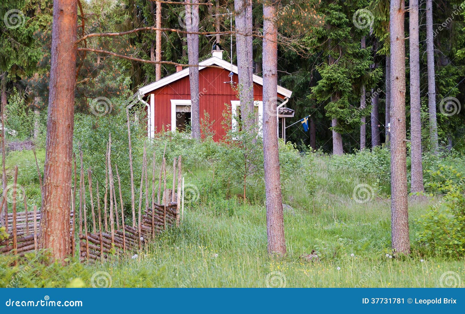 Фото Покрашенной Дачи