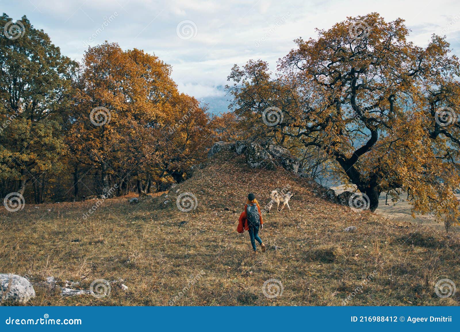 Фото Природы Дачи