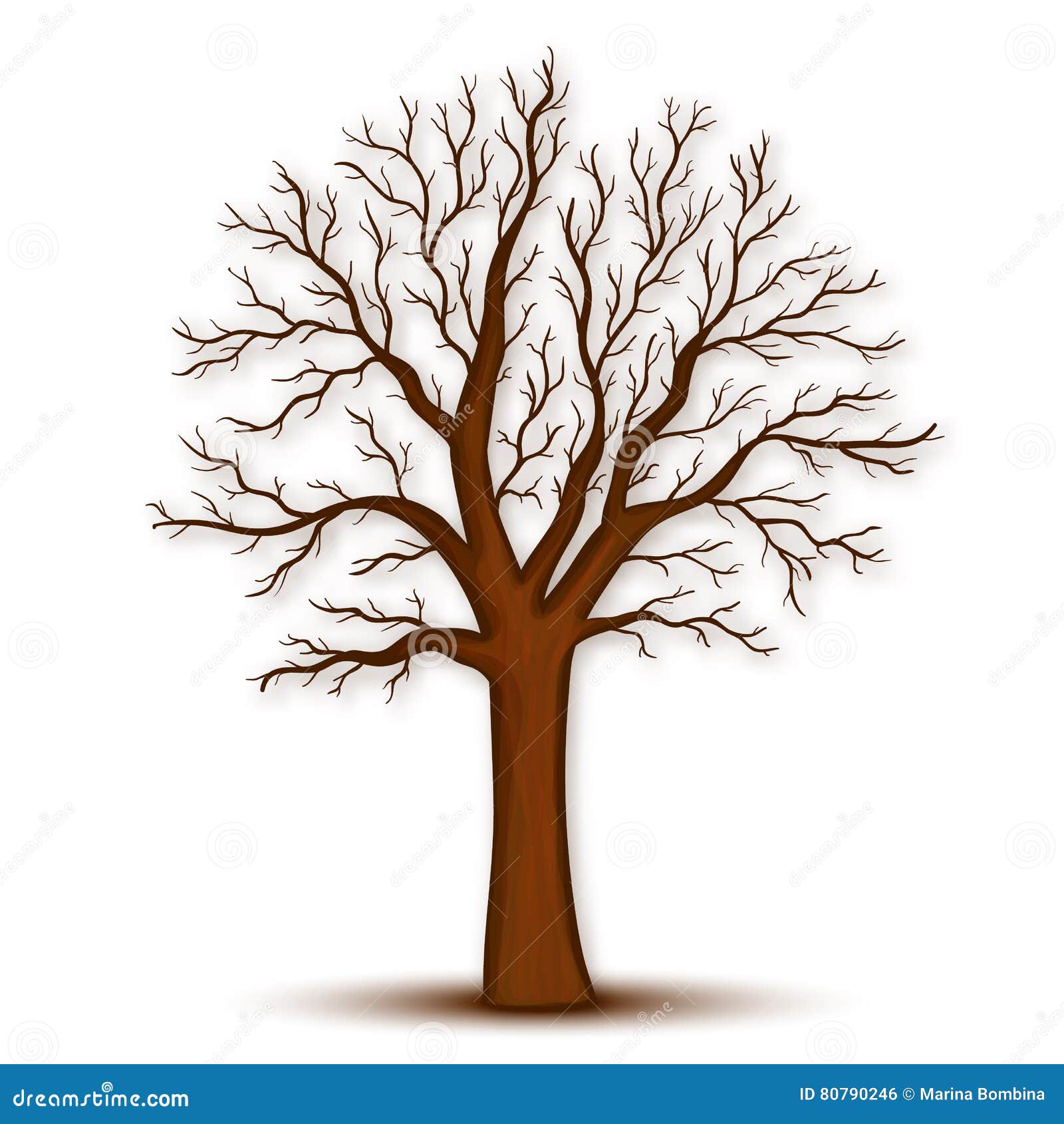 Дерево без вектора листьев иллюстрация вектора. иллюстрации насчитывающей  силуэт - 80790246