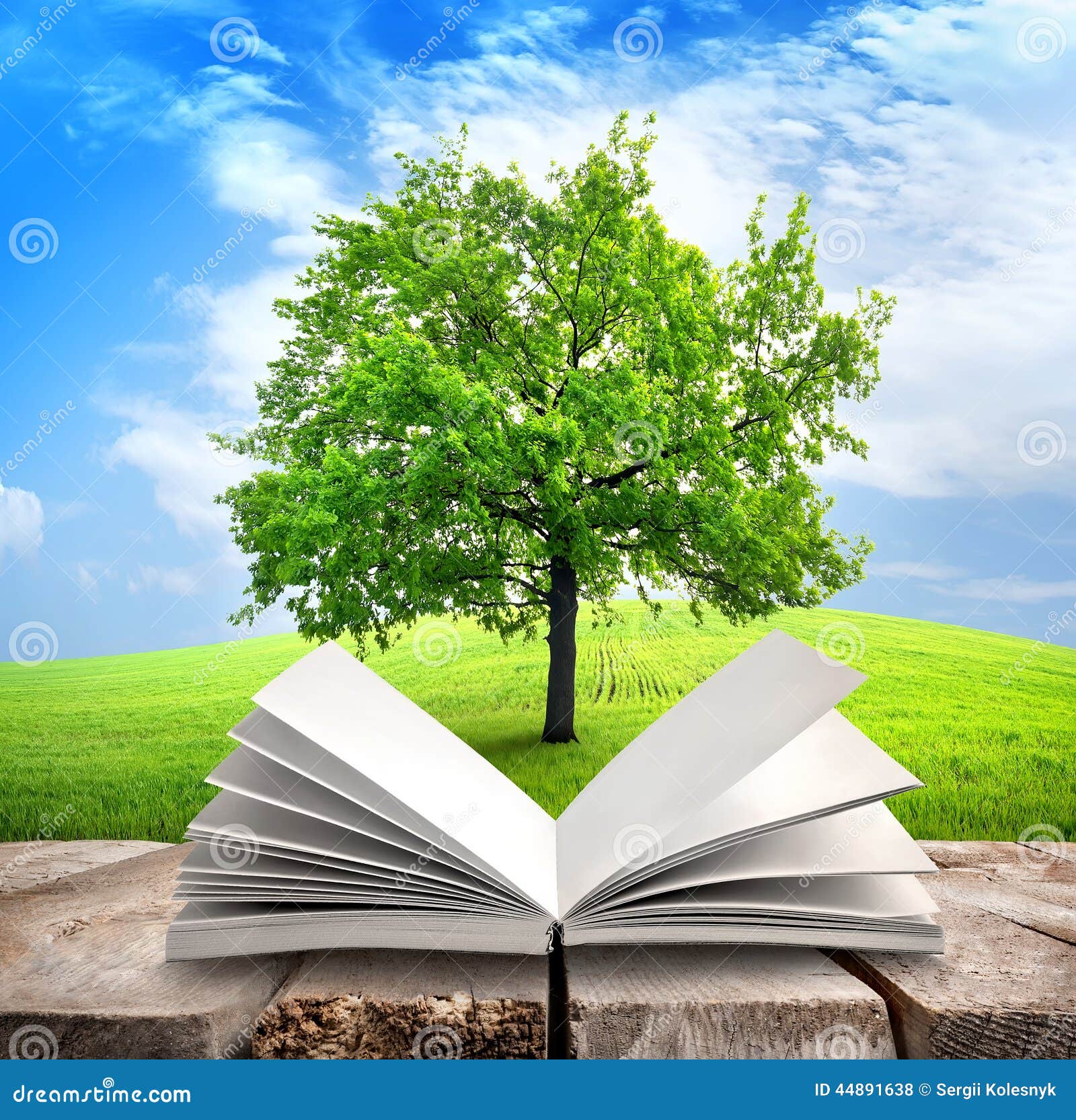 В книге 6 листов. Дерево с книгами. Знания мудрость. Дерево с книжками. Красивое дерево с книжками.