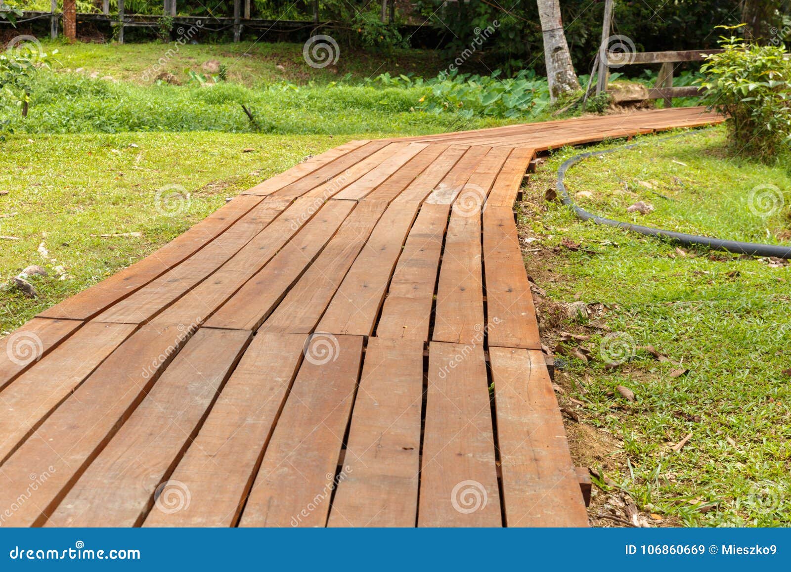 https://thumbs.dreamstime.com/z/%D0%B4%D0%B5%D1%80%D0%B5%D0%B2%D1%8F%D0%BD%D0%BD%D0%B0%D1%8F-%D0%B4%D0%BE%D1%80%D0%BE%D0%B6%D0%BA%D0%B0-%D0%B2-%D0%BF%D0%B0%D1%80%D0%BA%D0%B5-106860669.jpg