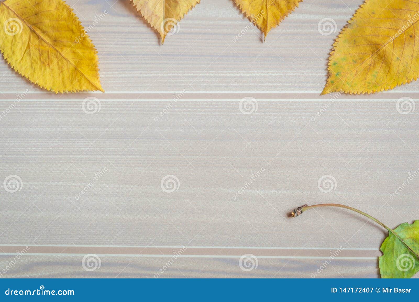 Деревянный фон с естественным зеленым и желтым покрытием листьев  Предоставлено место для копирования Справочная информация для на Стоковое  Изображение - изображение насчитывающей листво, космос: 147172407