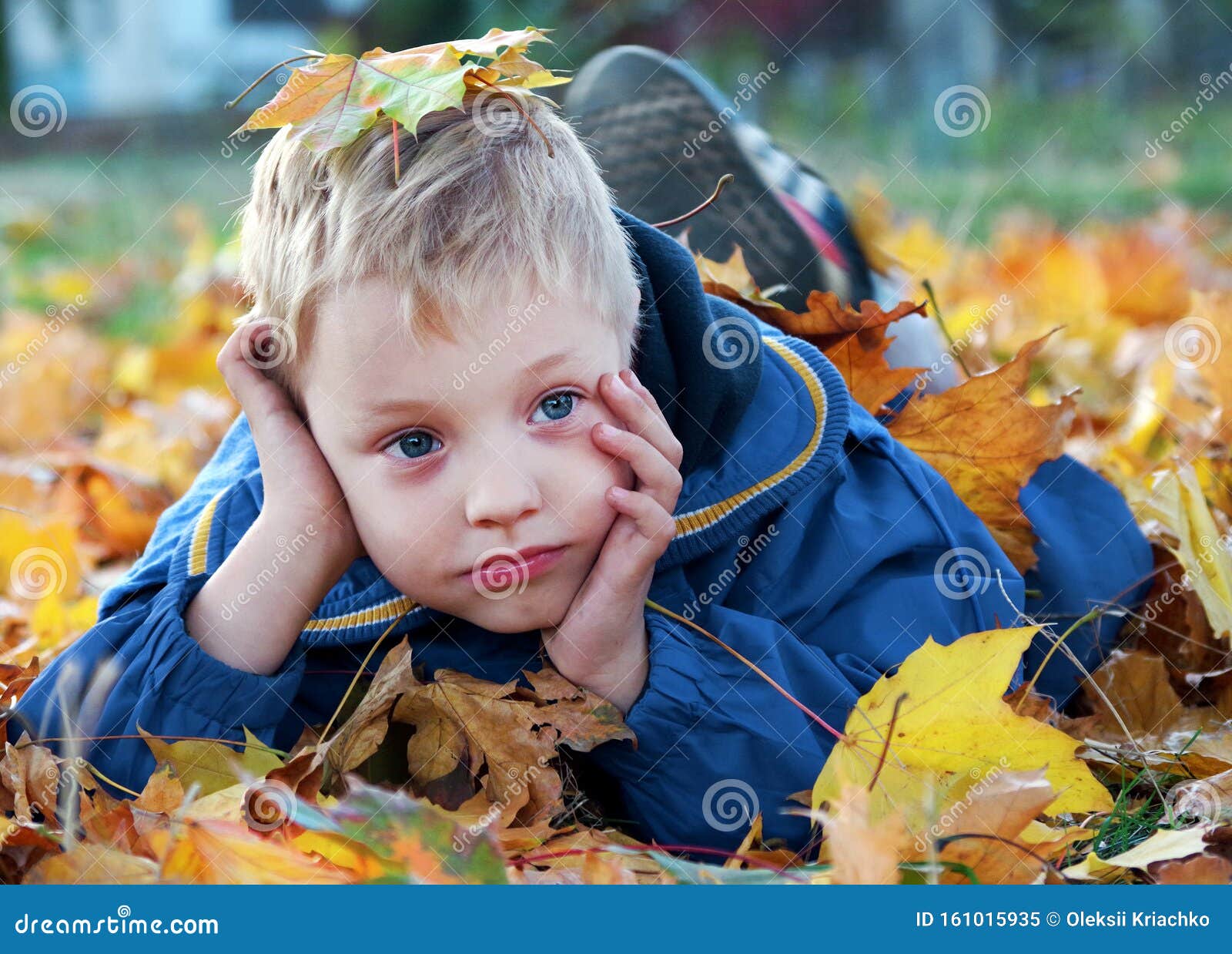 Осенние Фото Детей На Природе