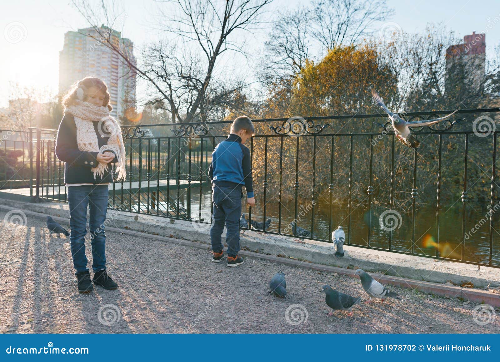 Дети Воробьев Птиц Фото