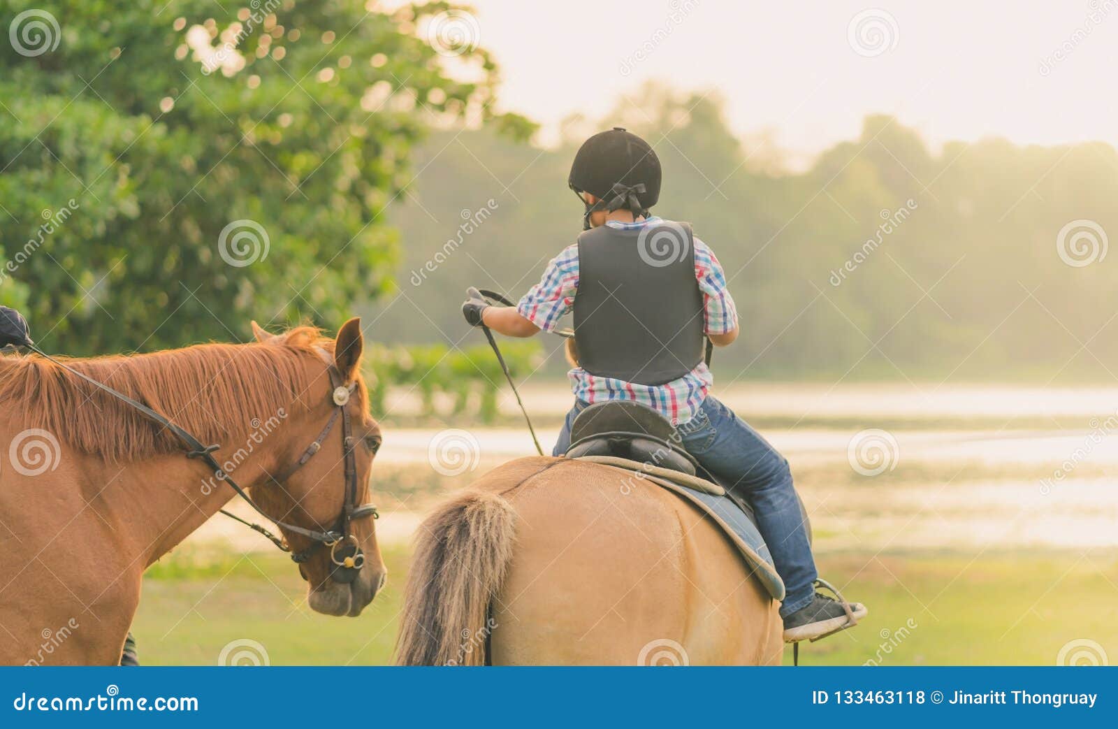 Мы вновь ехали на лошадях. Лошадь едет на лошади. Научишь меня  на конях кататься. Ребенок едет на лошади. Фотосессия возле коня на скаку остановит.