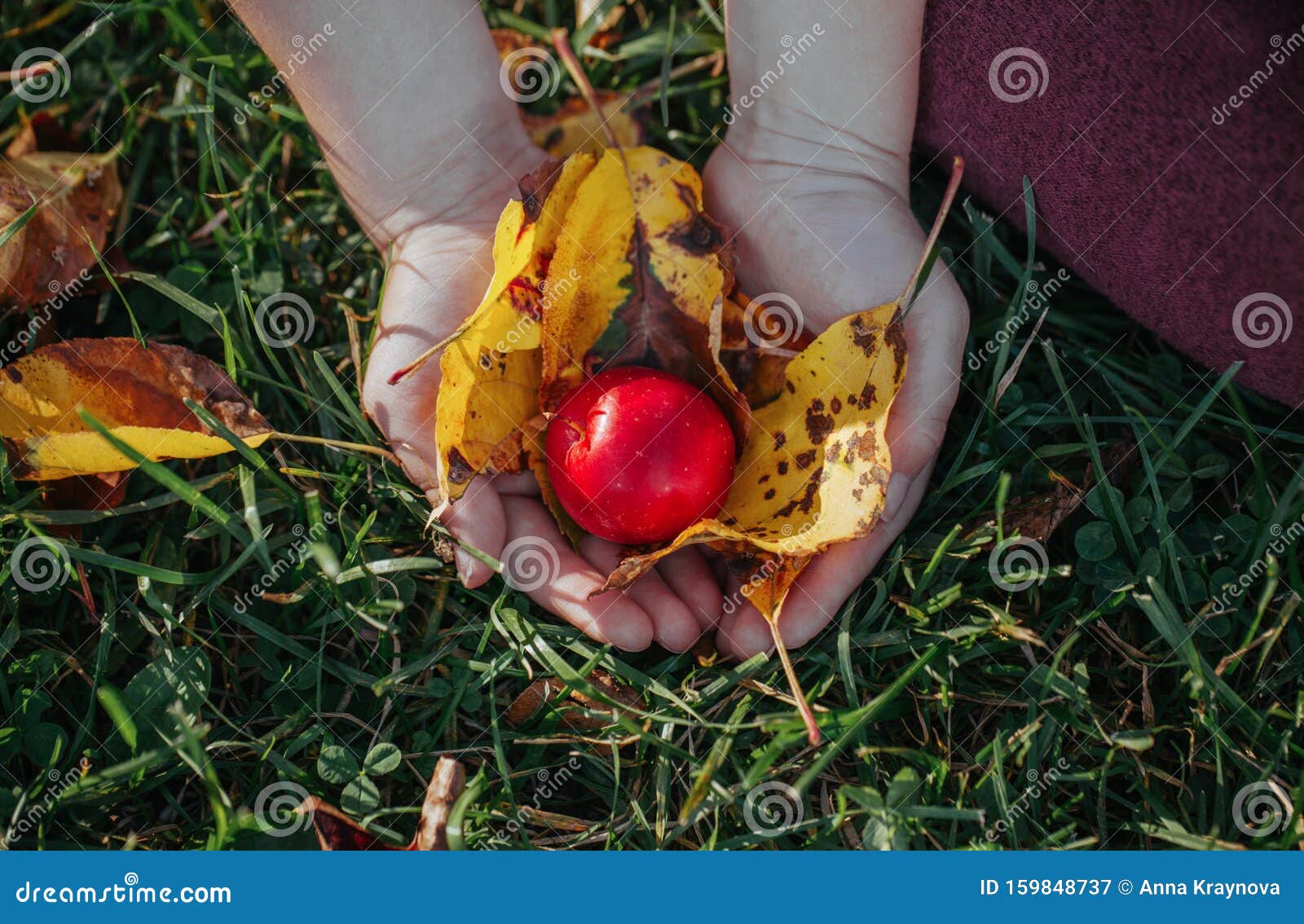 Детские Фото С Яблоками